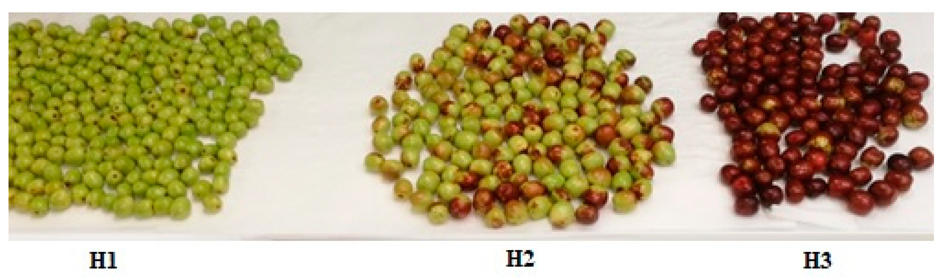 Molecules 25 02706 g006 Molecules 25 02706 g006