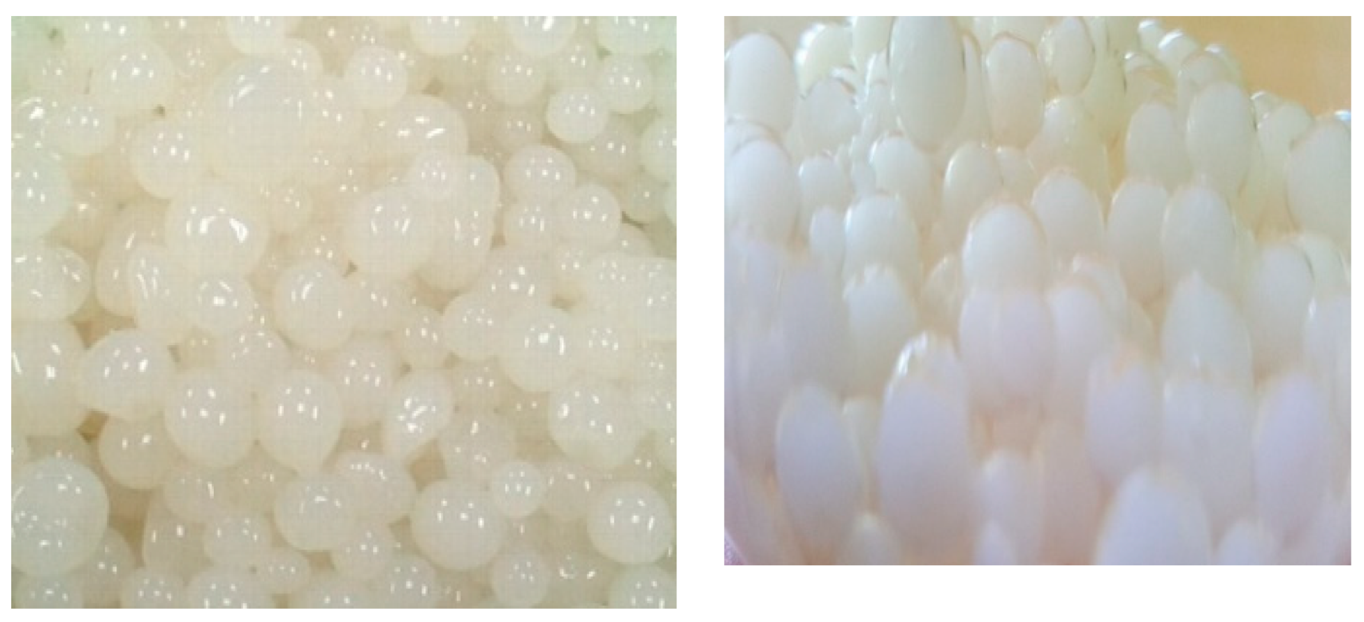 Molecules 25 02771 g005 Molecules 25 02771 g005