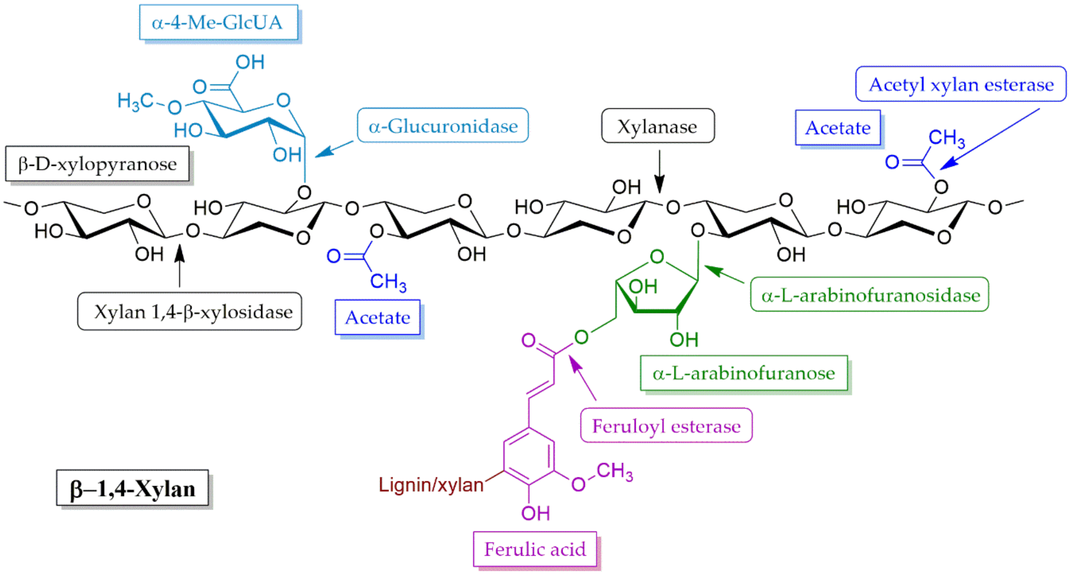 Molecules 25 02811 g006