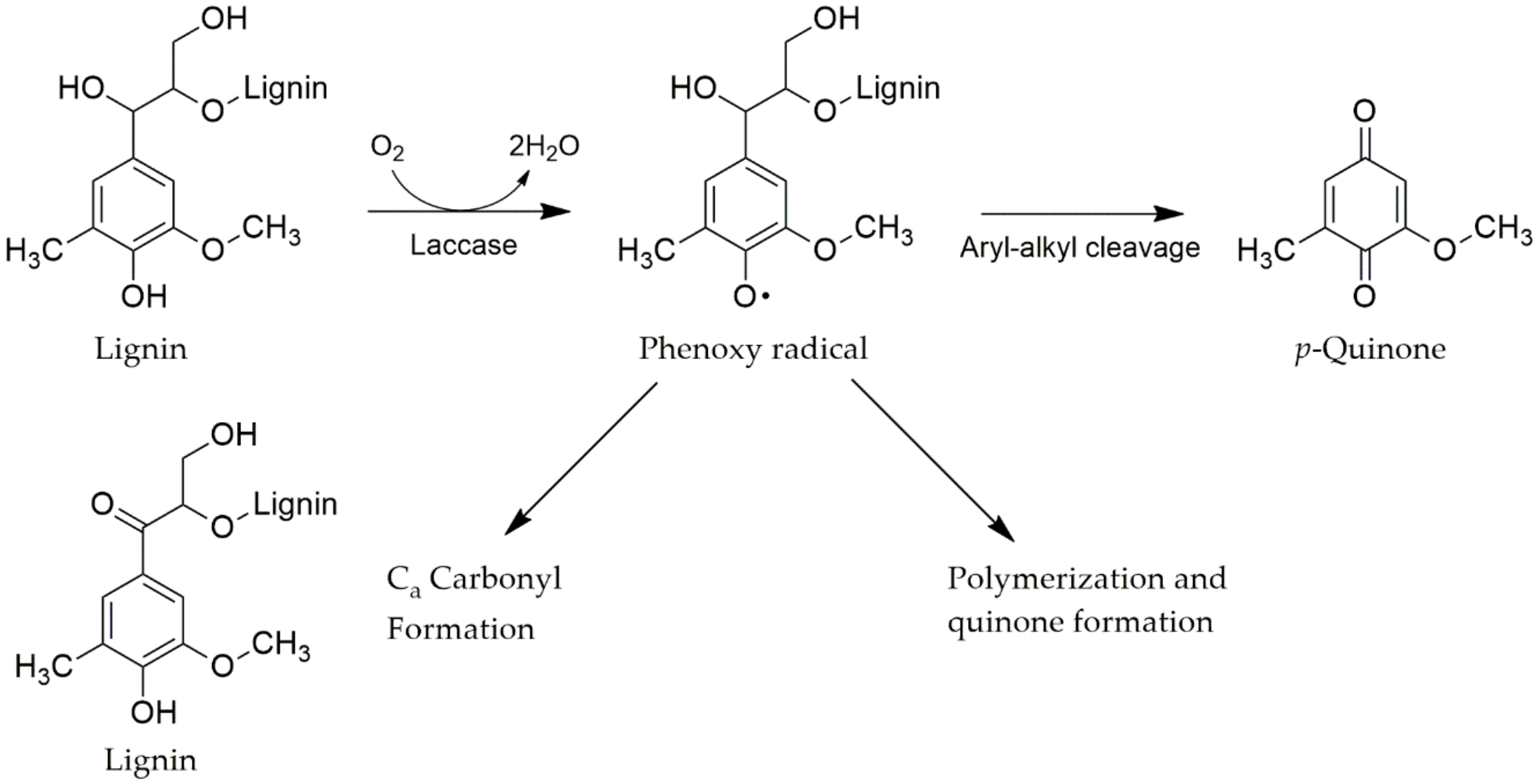 Molecules 25 02811 g009