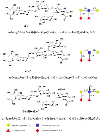 Molecules Free Full Text Selectins The Two Dr Jekyll And Mr Hyde Faces Of Adhesion Molecules A Review Html