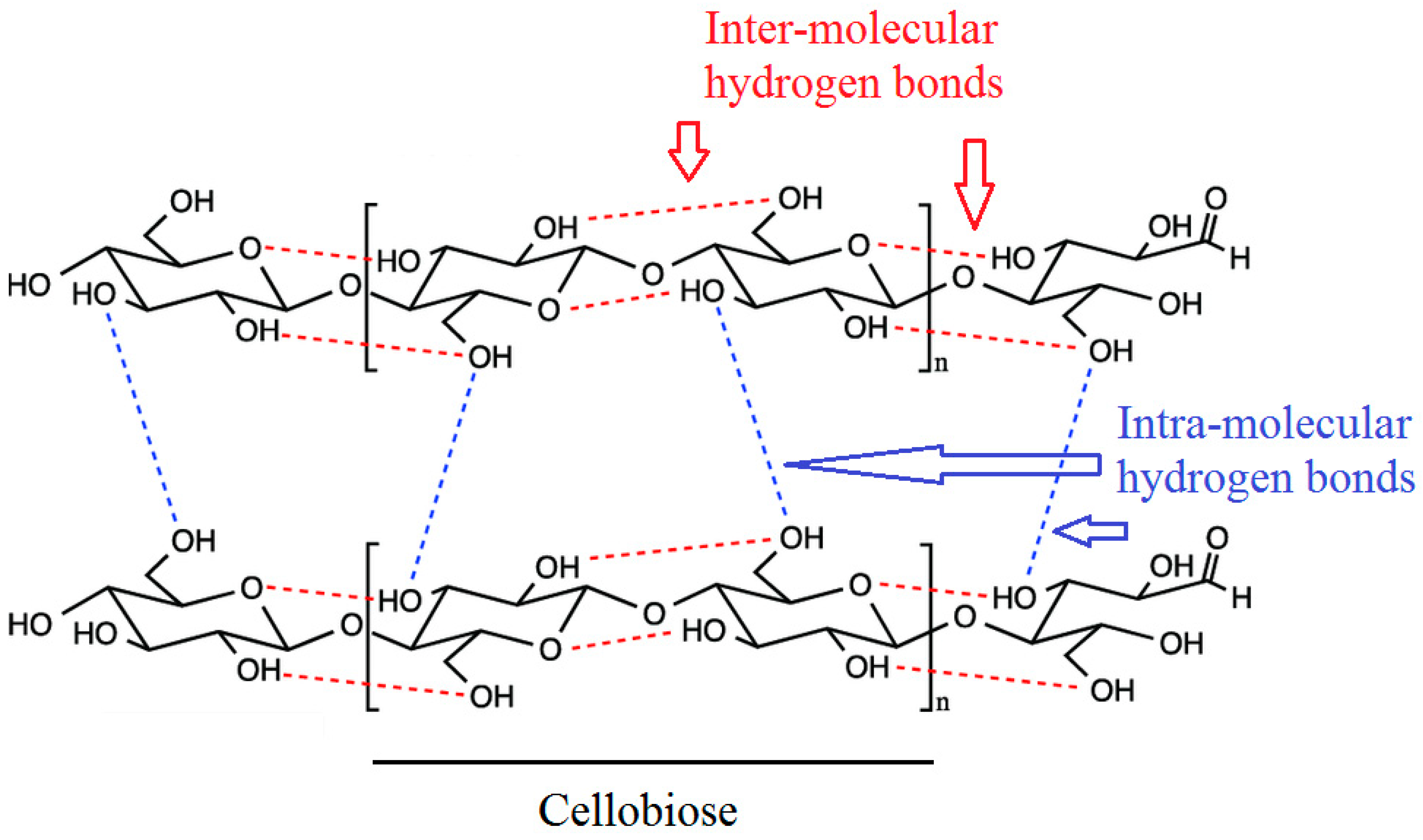 cellulose structure