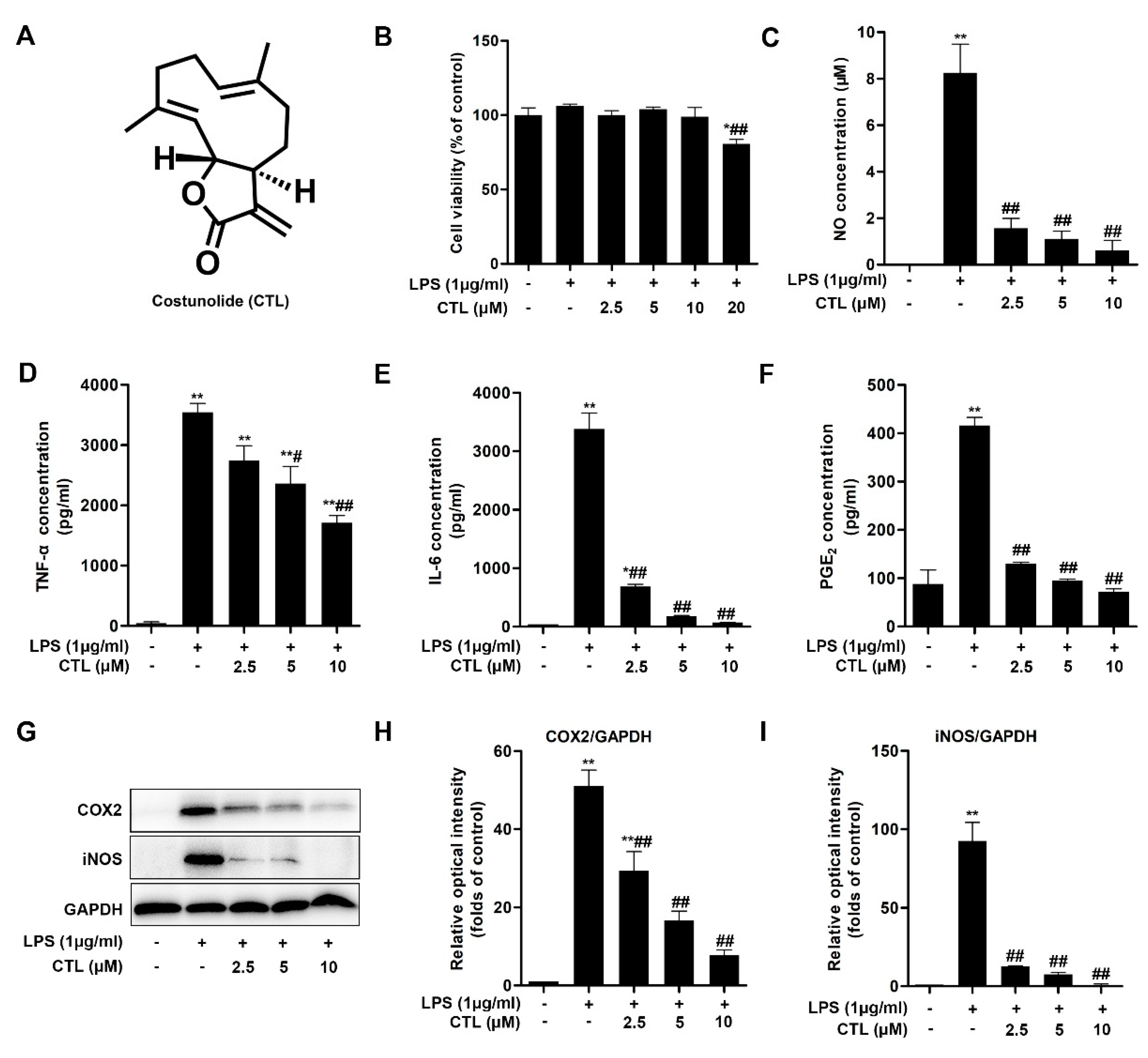 Molecules 25 02840 g001 Molecules 25 02840 g001