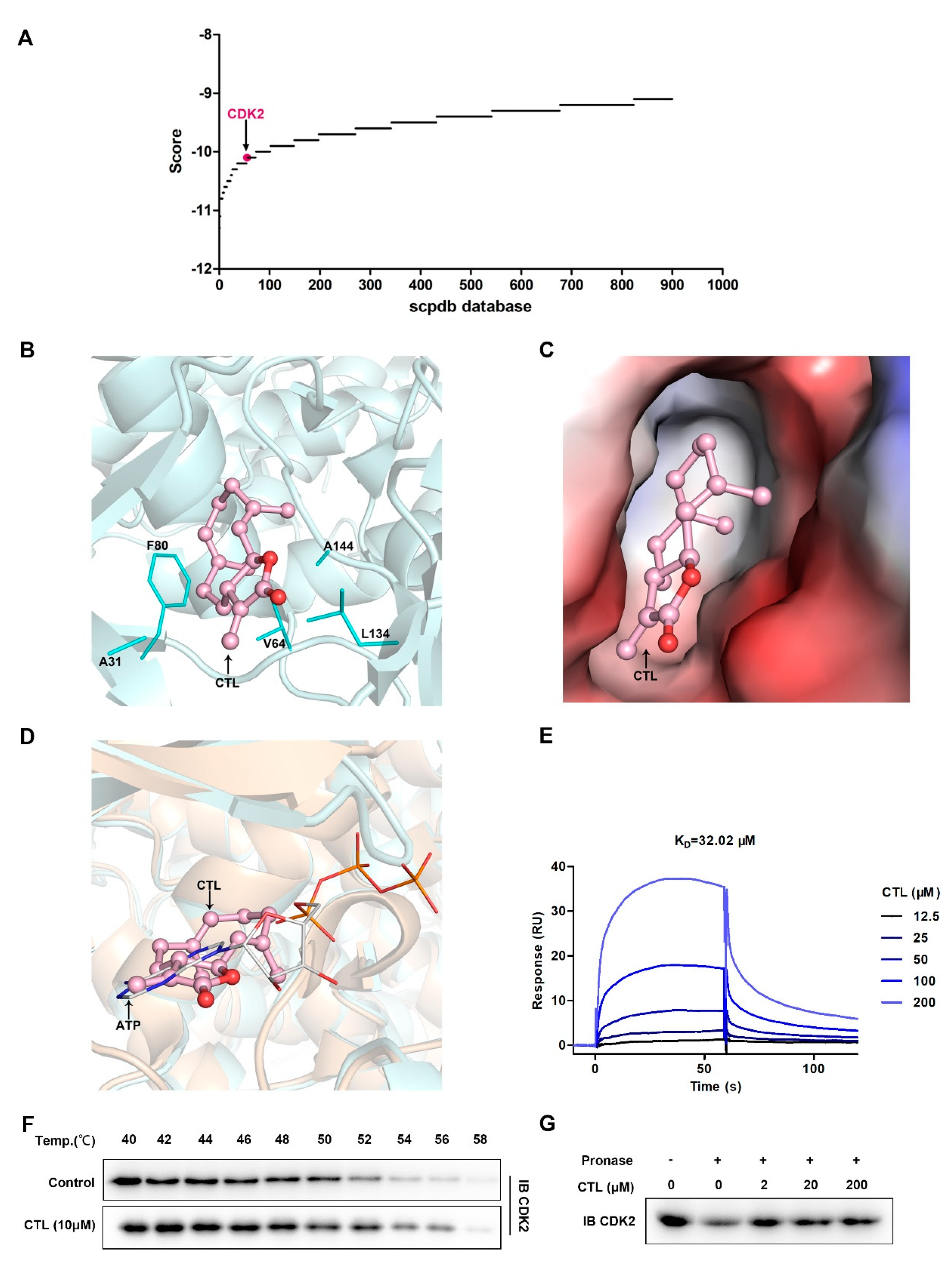 Molecules 25 02840 g003 Molecules 25 02840 g003