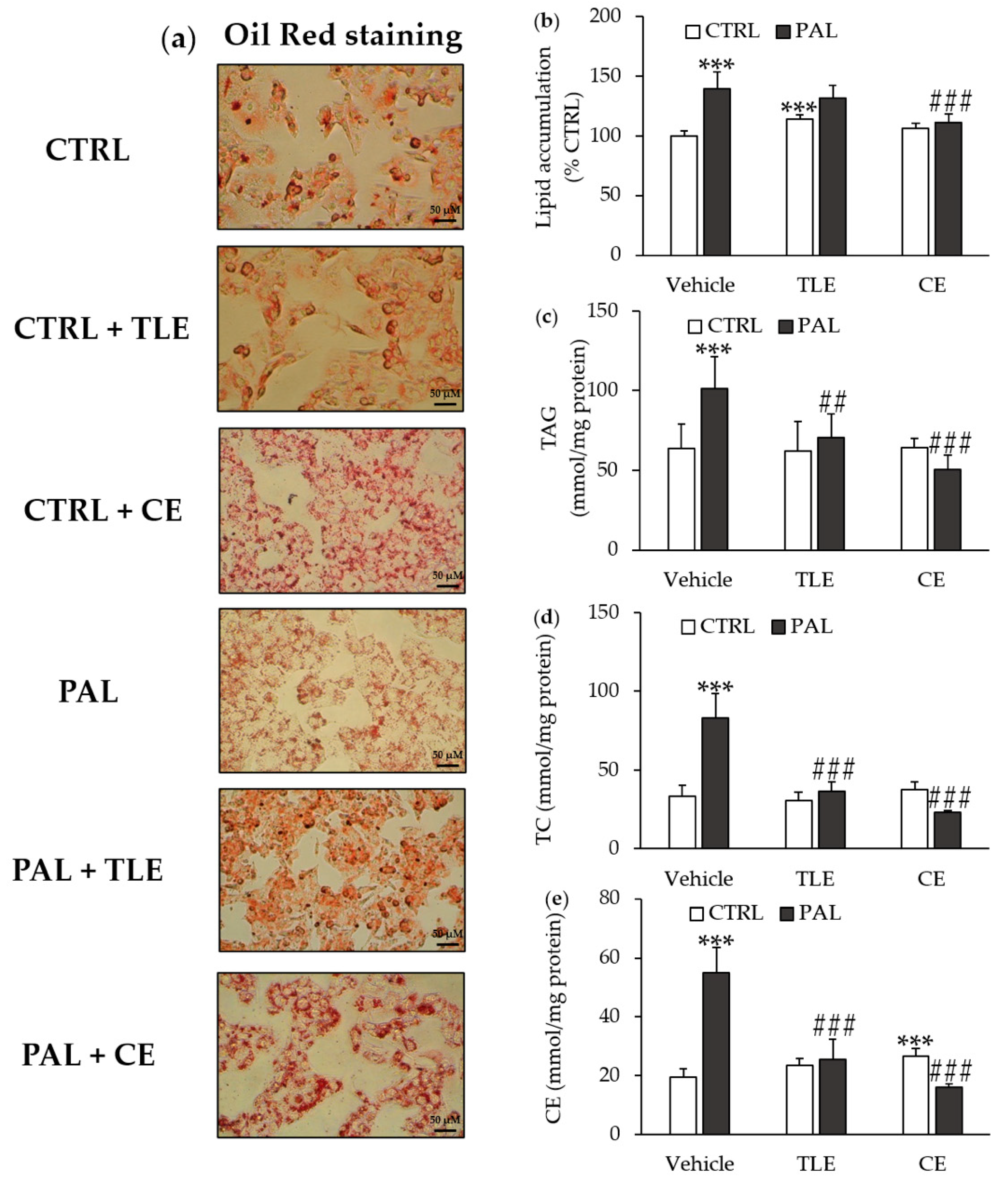 Molecules 25 02845 g002 Molecules 25 02845 g002