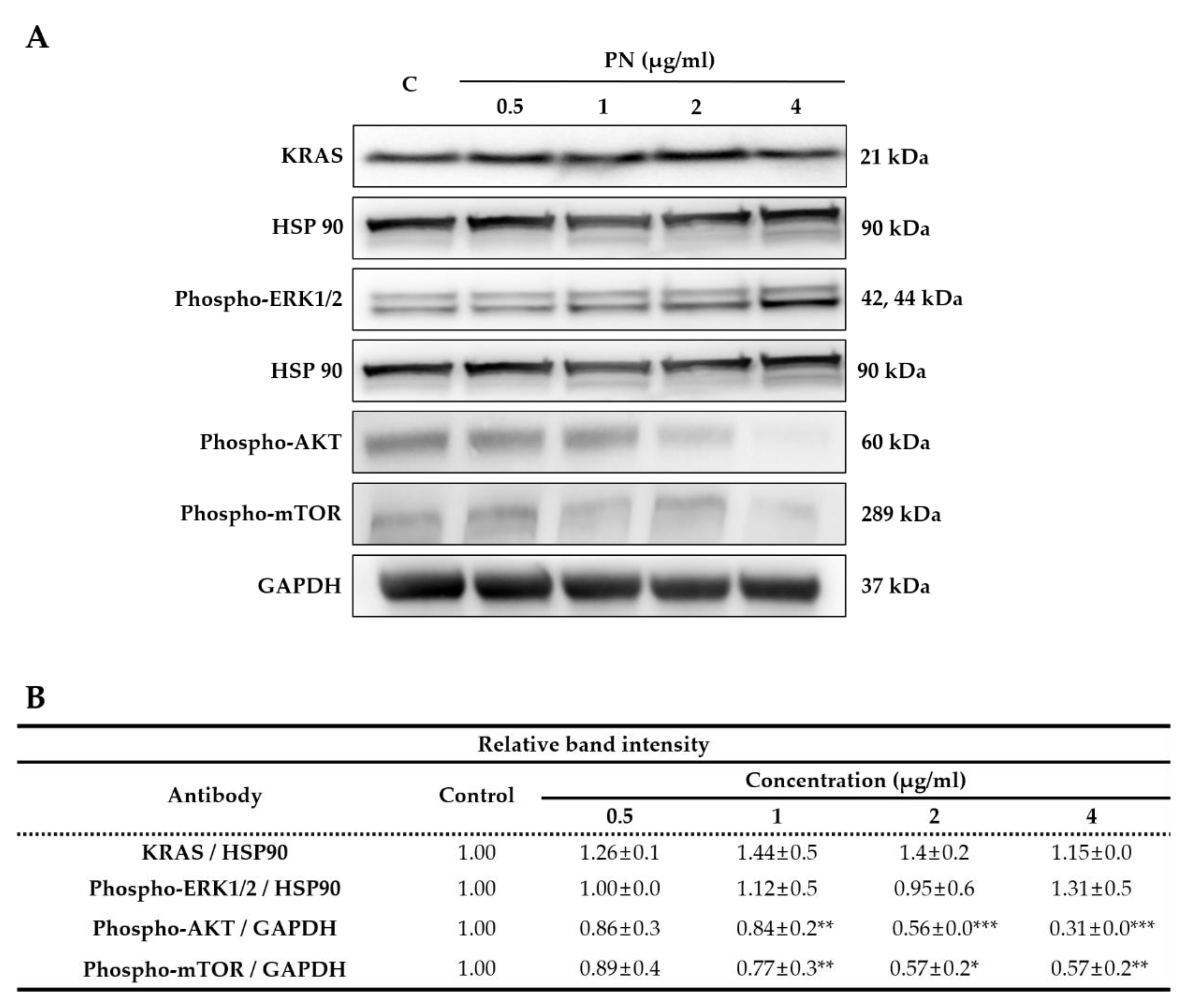 Molecules 25 02864 g005 Molecules 25 02864 g005