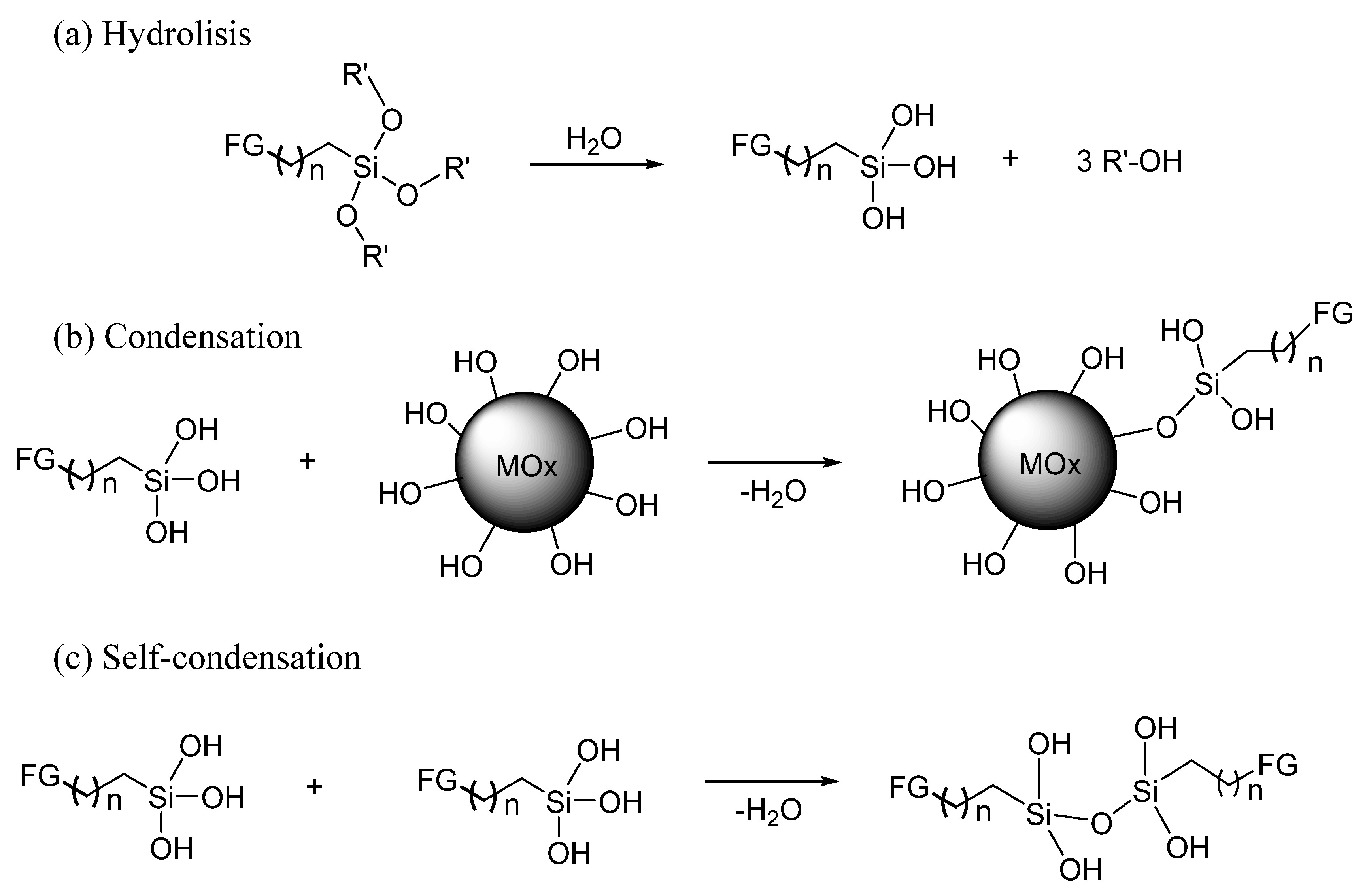 Molecules 25 02868 g001