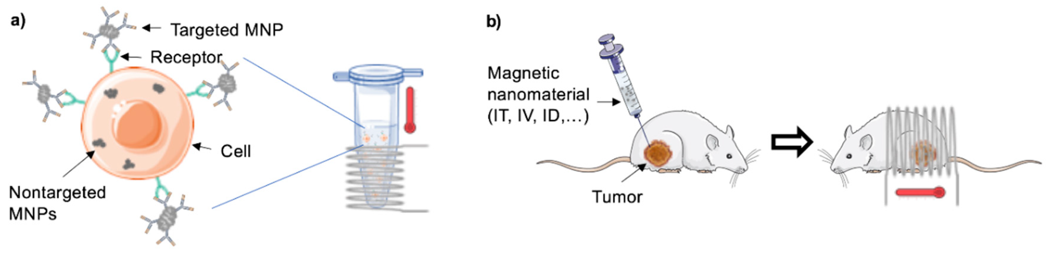 Molecules | Free Full-Text | Magnetic Hyperthermia for Cancer Treatment:  Main Parameters Affecting the Outcome of In Vitro and In Vivo Studies