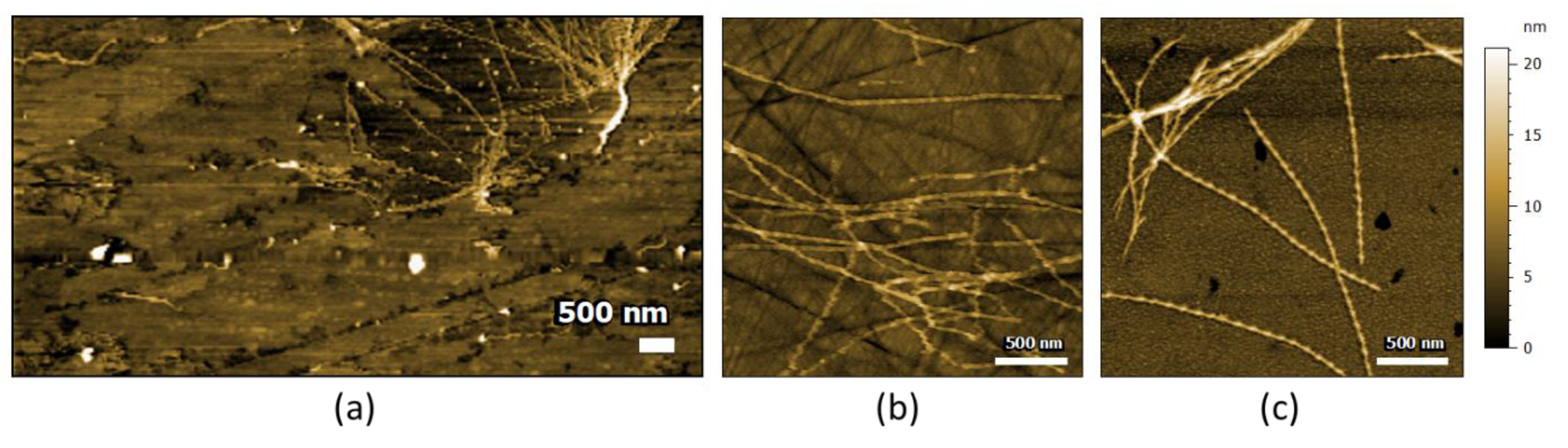 Molecules 25 02899 g006 Molecules 25 02899 g006
