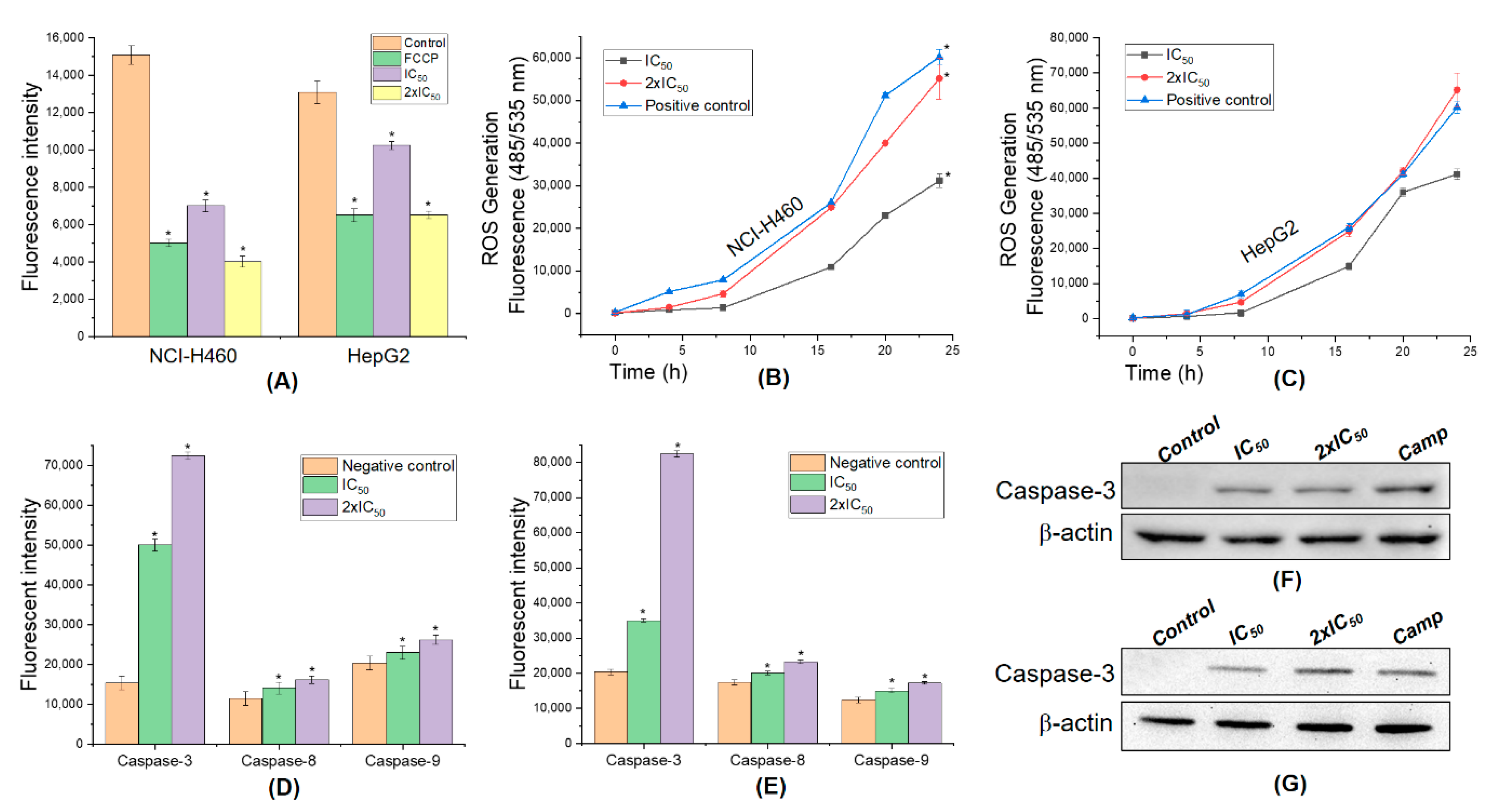 Molecules 25 02912 g008
