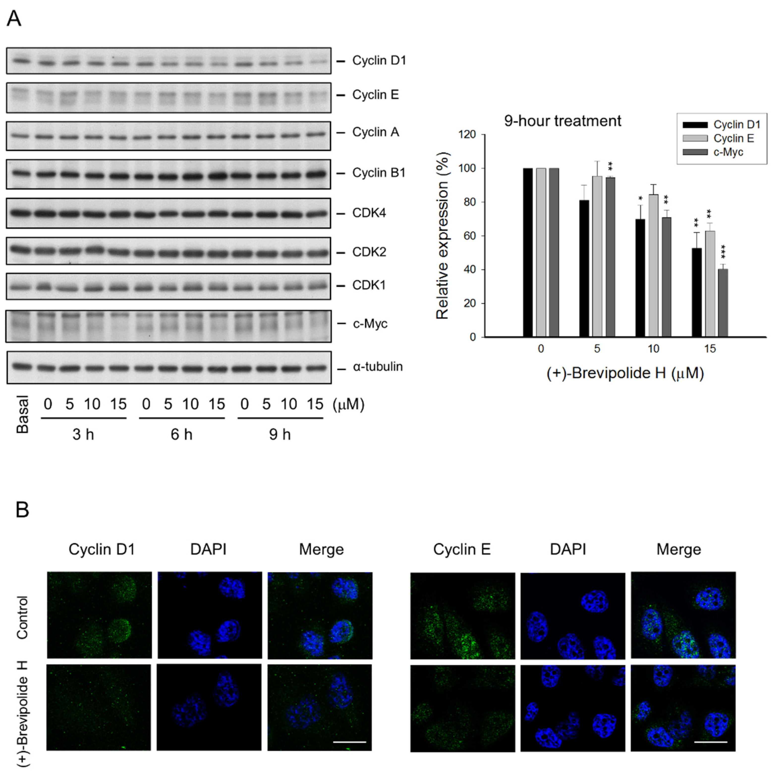 Molecules 25 02929 g003