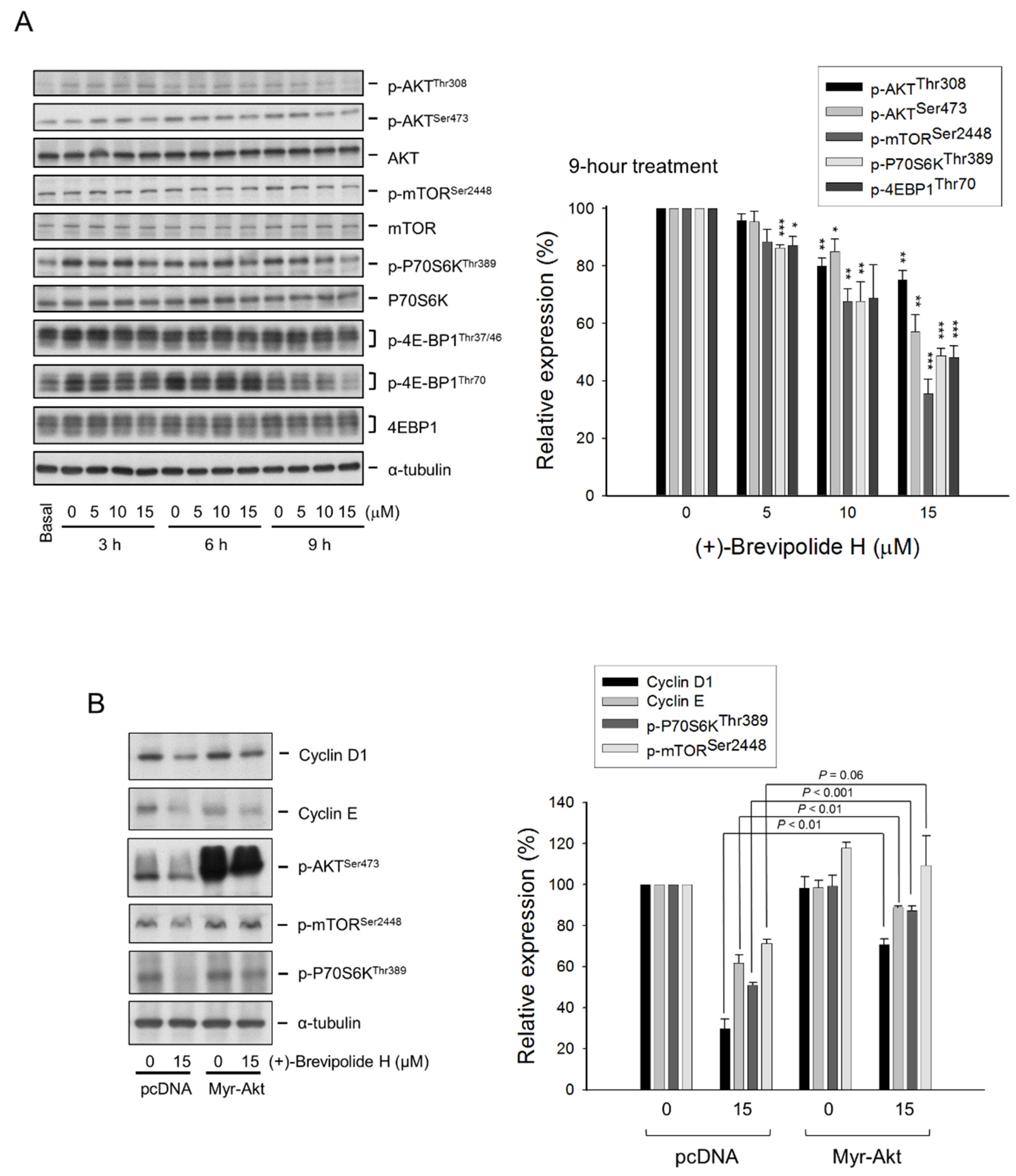 Molecules 25 02929 g004