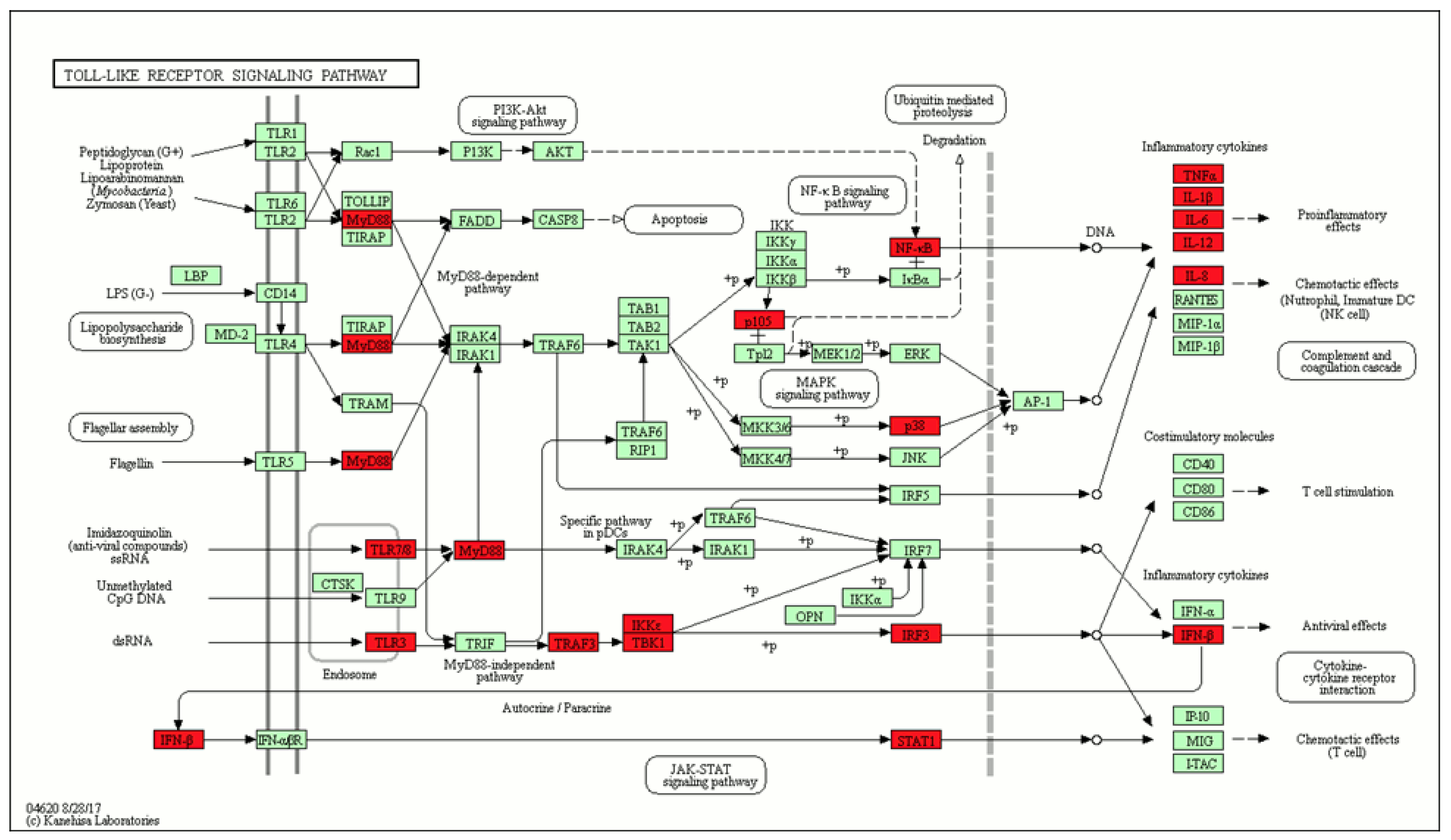Molecules 25 02944 g003 Molecules 25 02944 g003