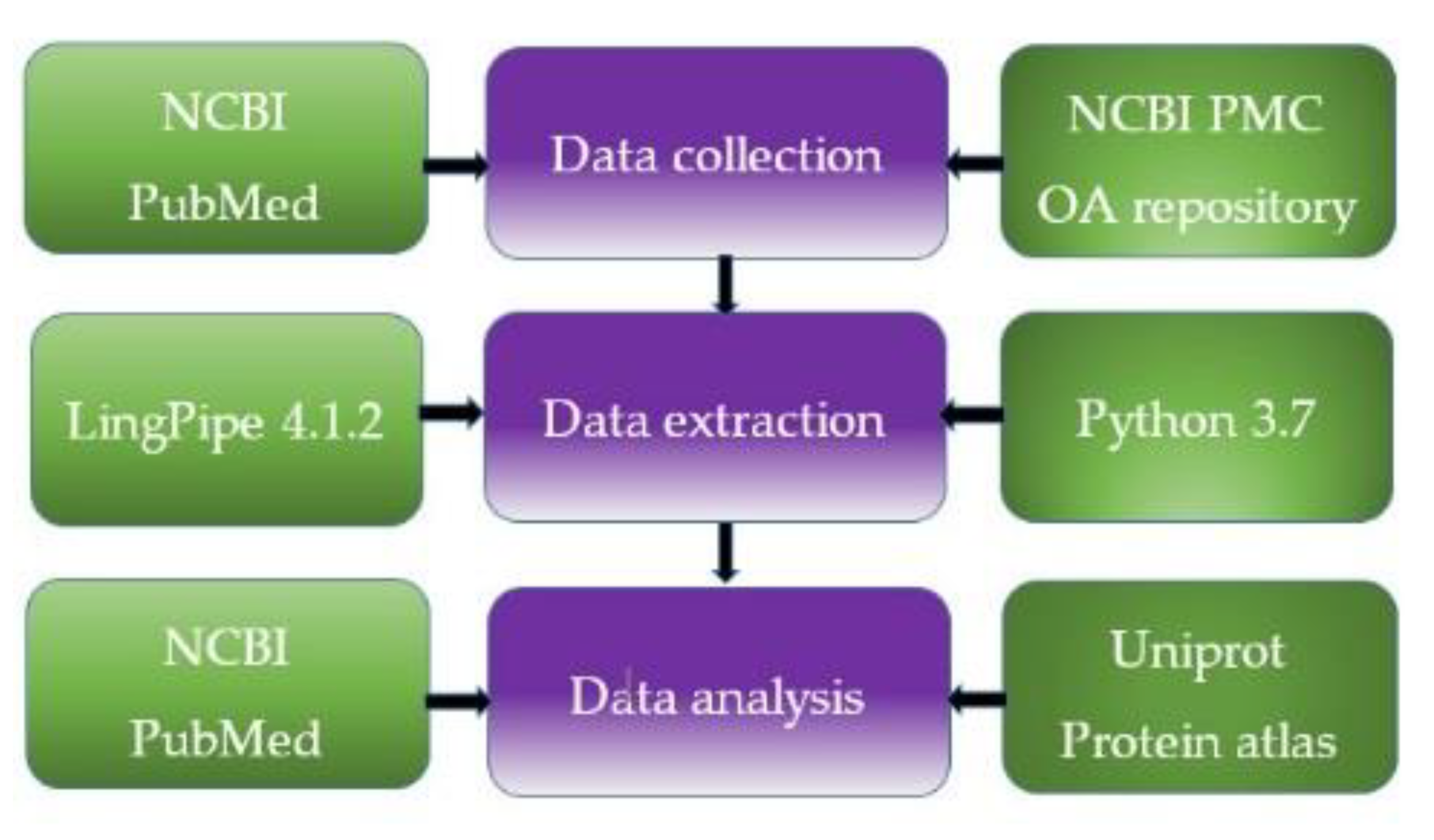 Molecules 25 02944 g005 Molecules 25 02944 g005