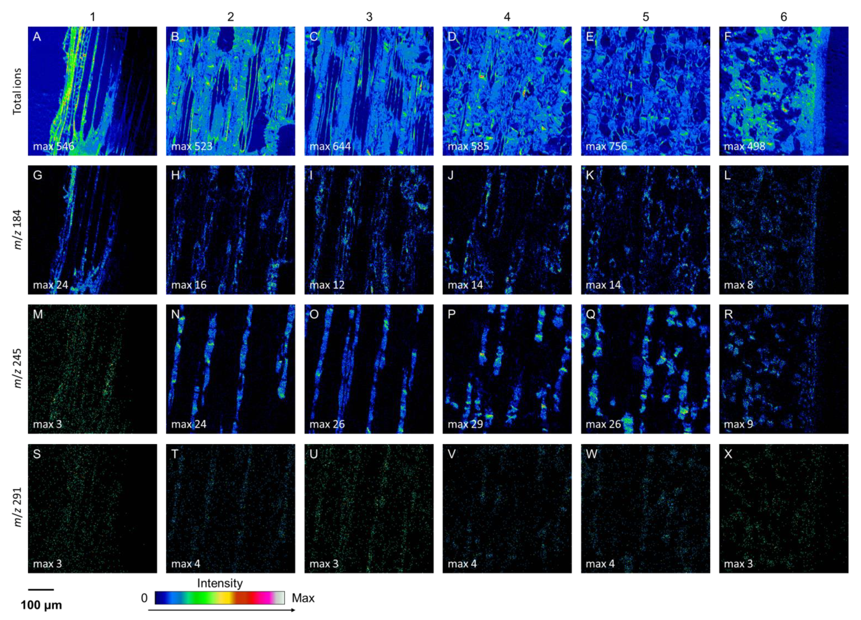 Molecules 25 02952 g003