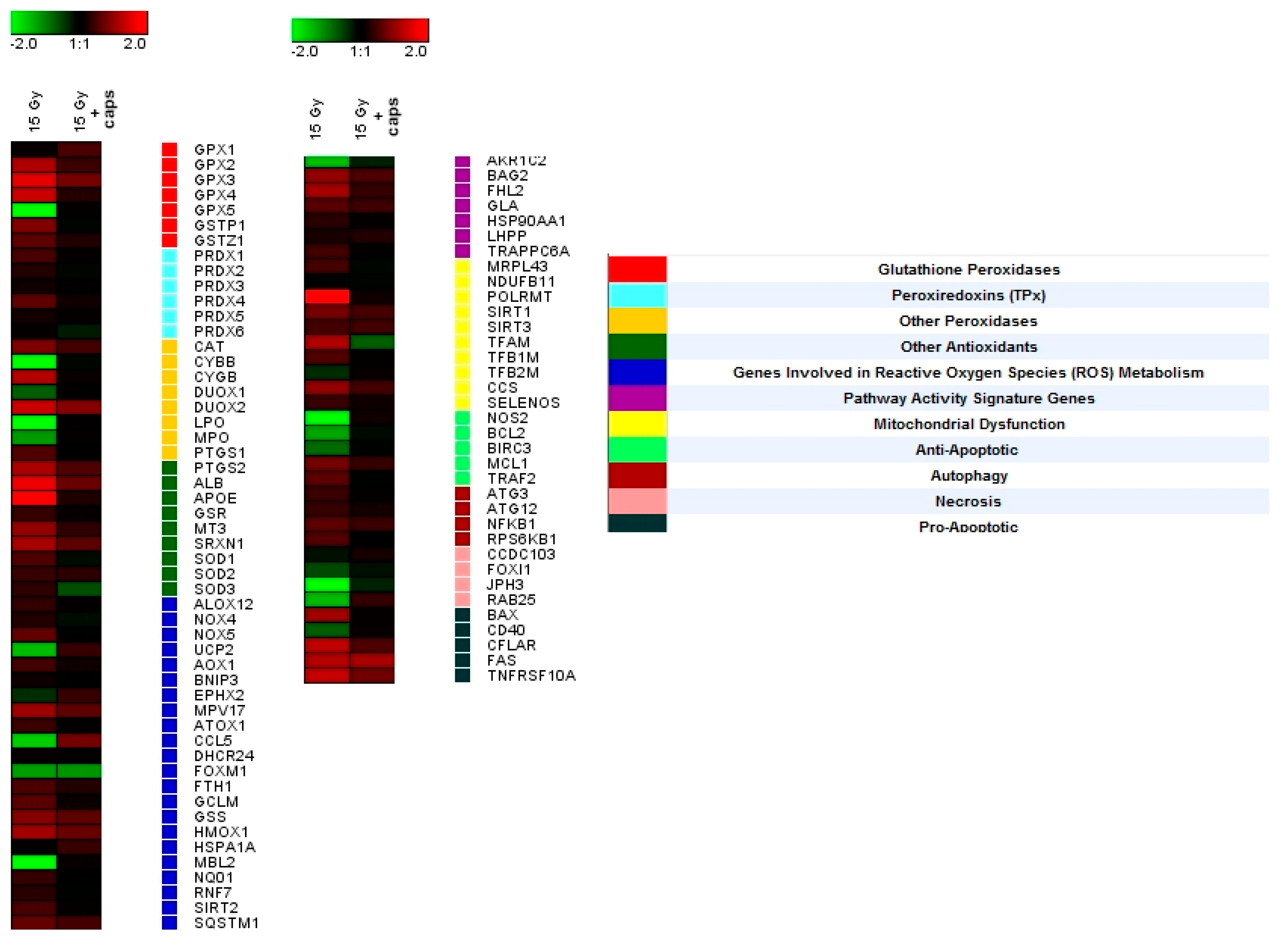 Molecules 25 02957 g008 Molecules 25 02957 g008