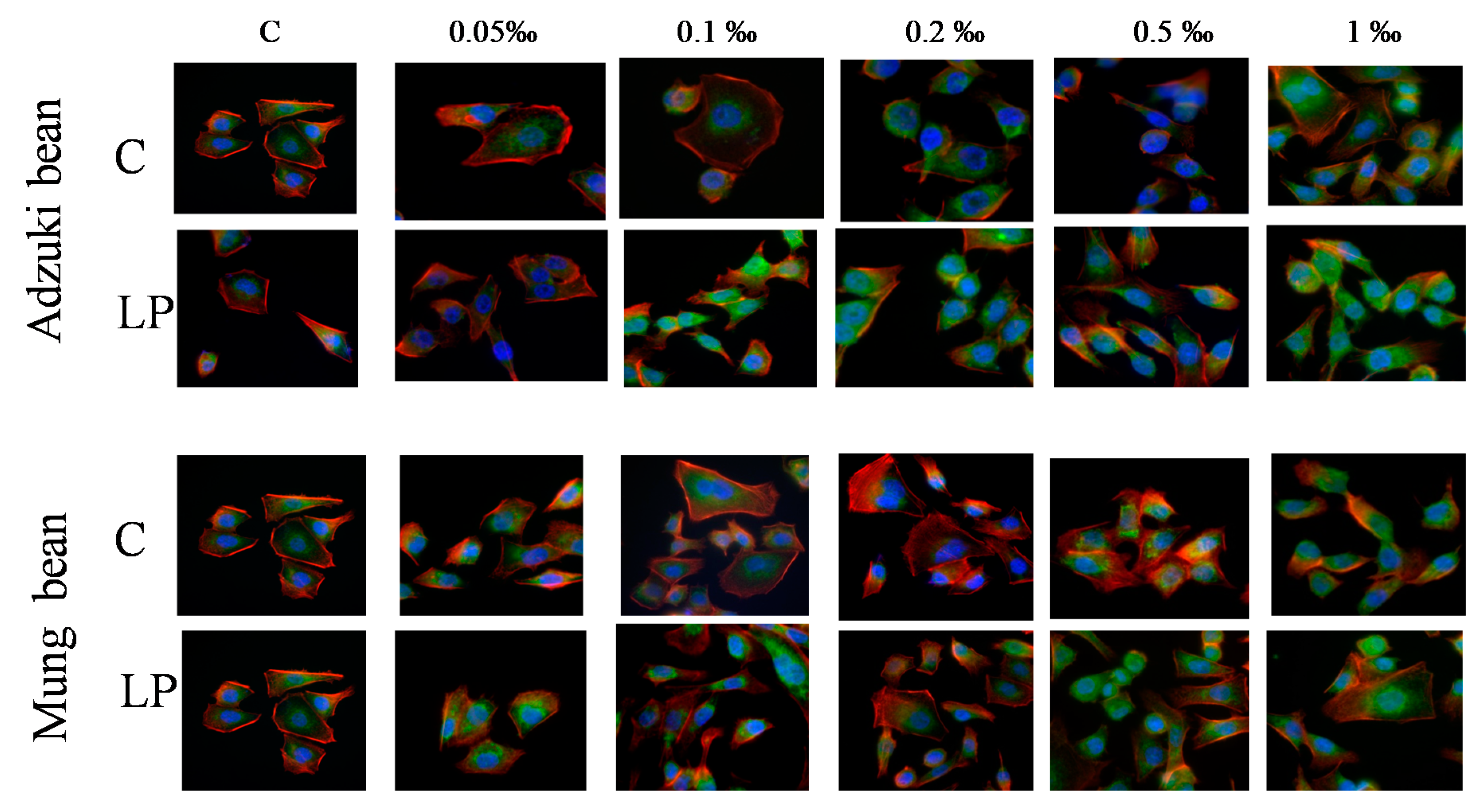 Molecules 25 02963 g004 Molecules 25 02963 g004