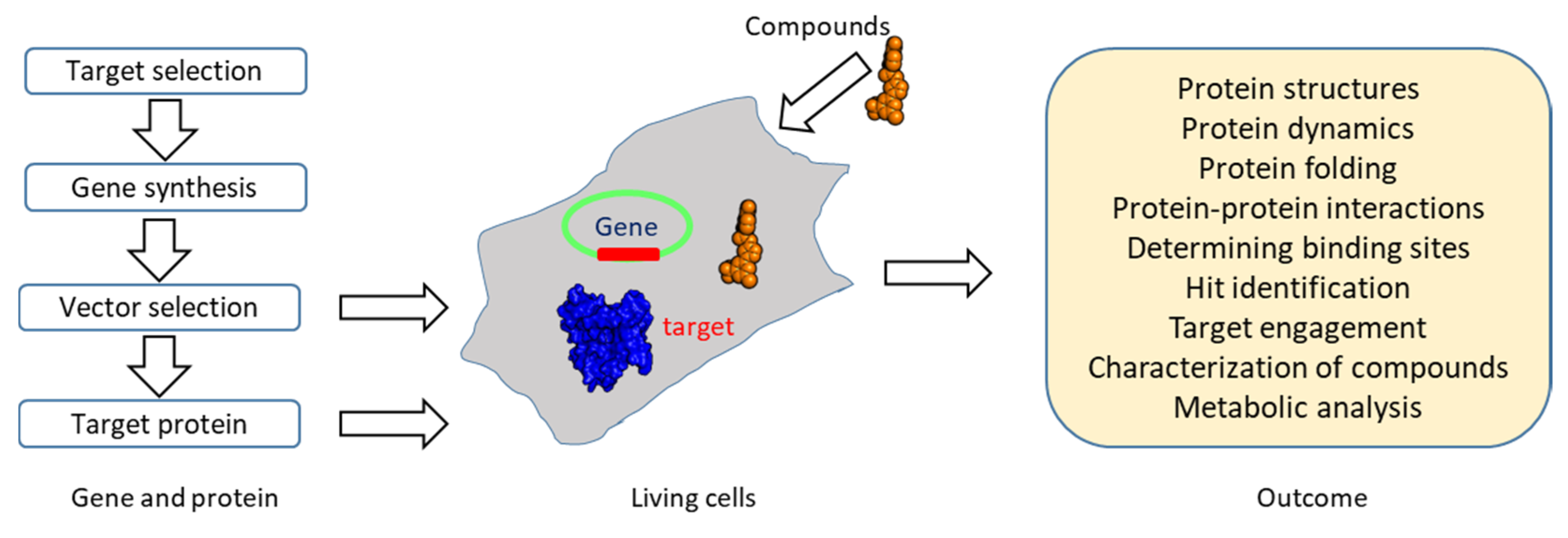 Molecules 25 02974 g006