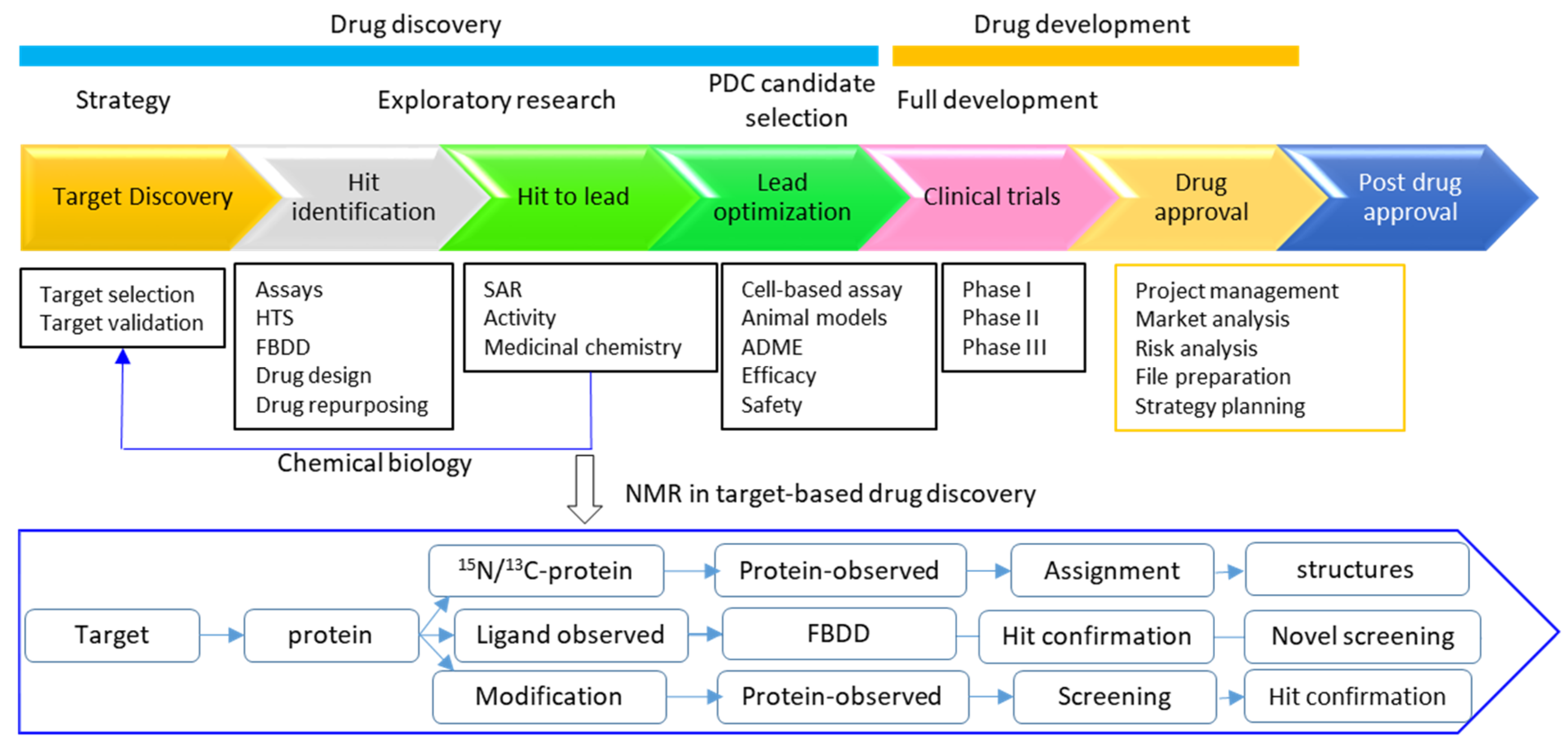 Molecules 25 02974 g007