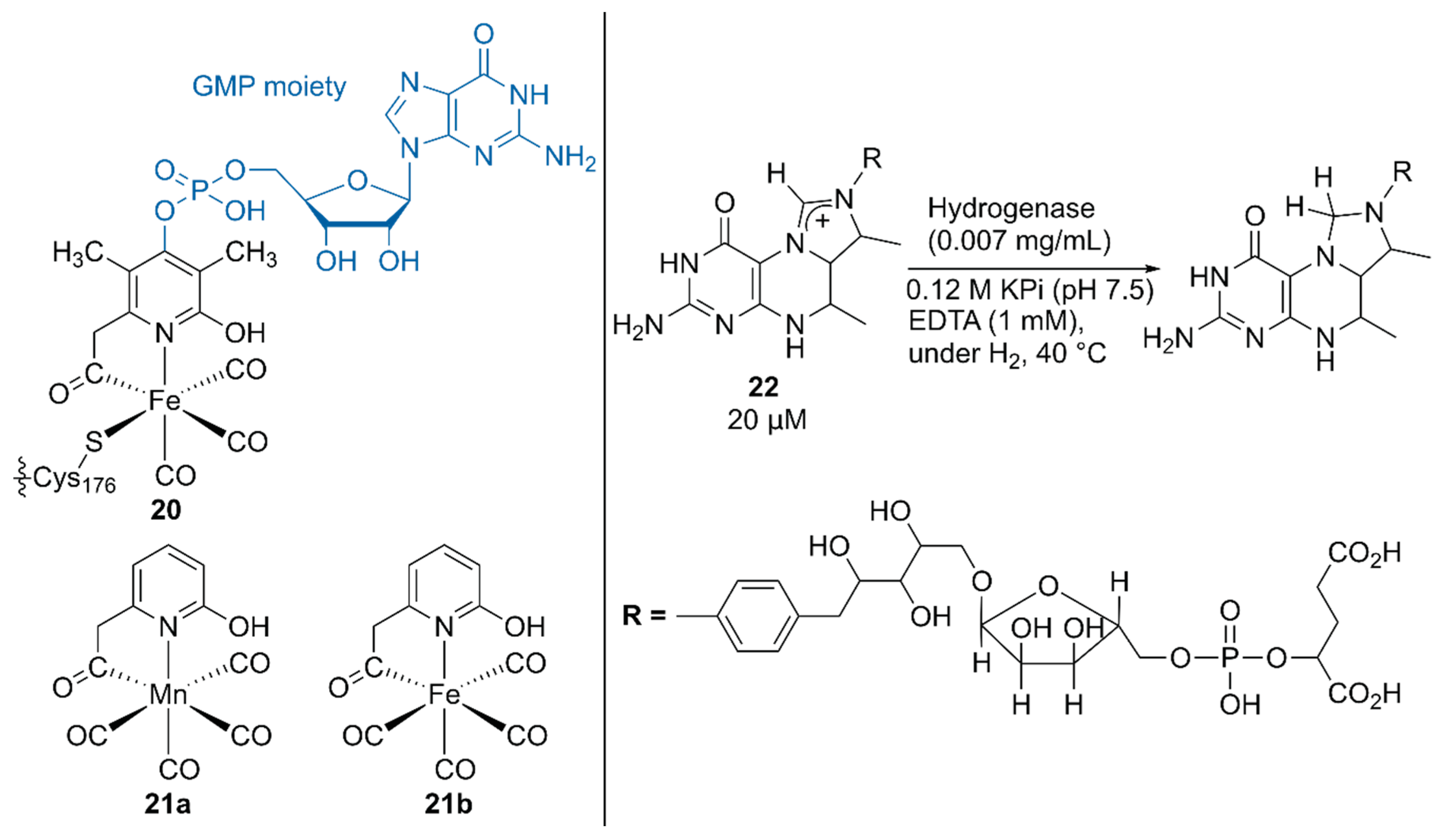 Molecules 25 02989 g004 Molecules 25 02989 g004