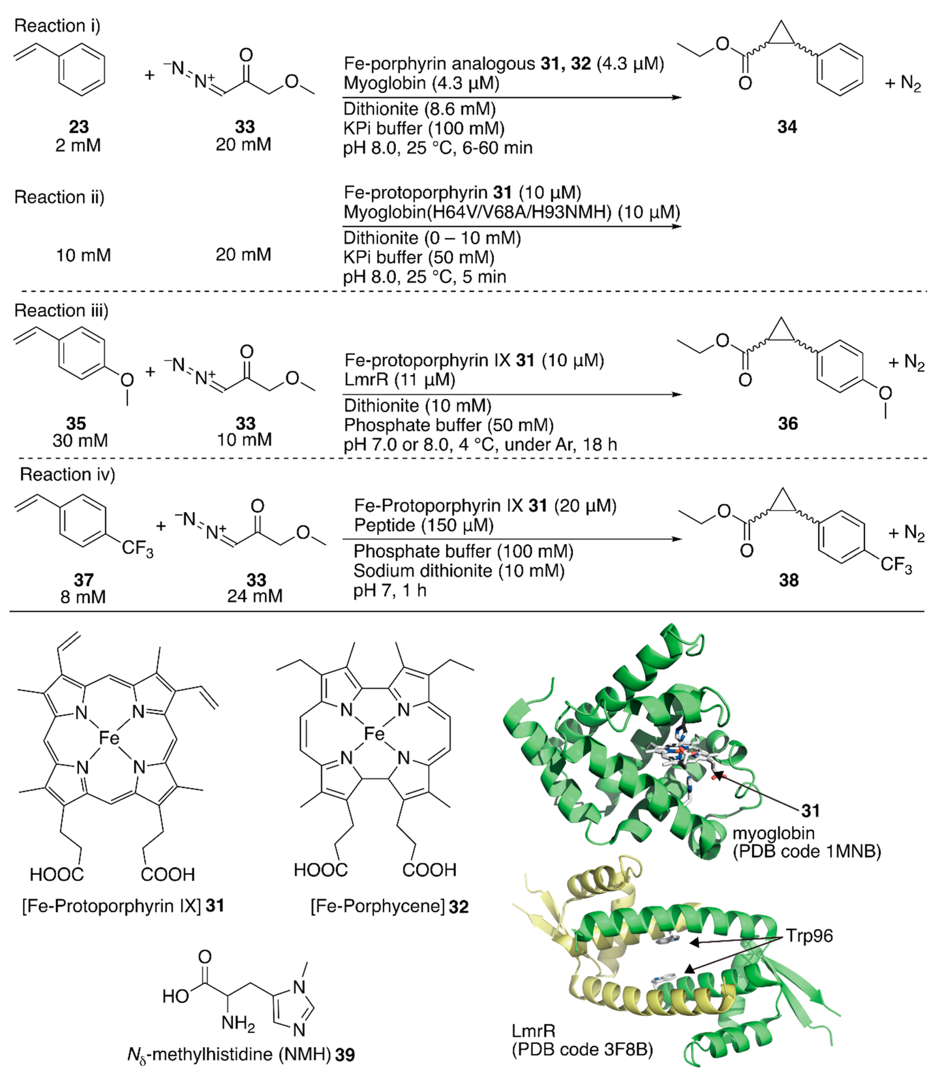 Molecules 25 02989 g007 Molecules 25 02989 g007