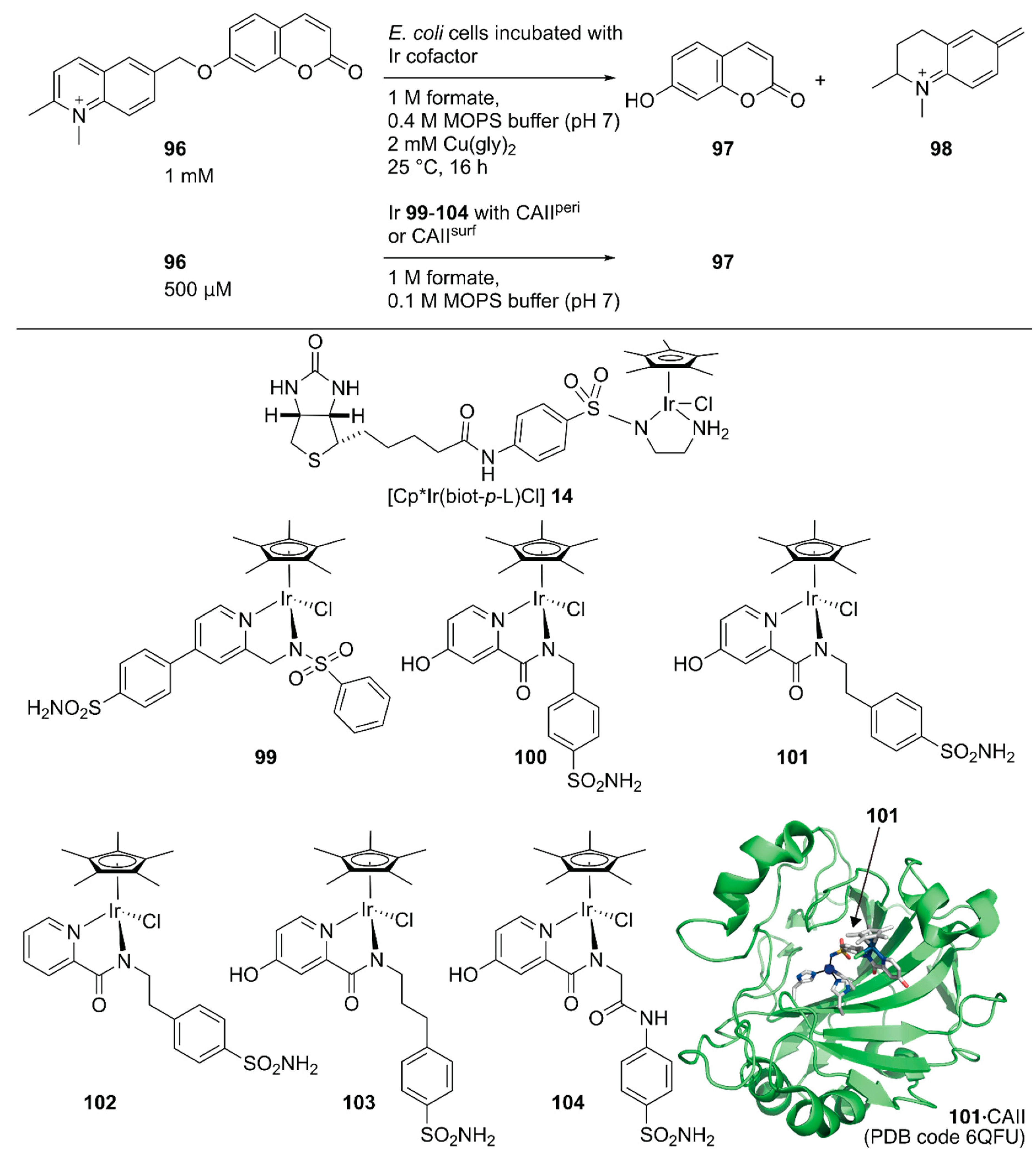 Molecules 25 02989 g019 Molecules 25 02989 g019