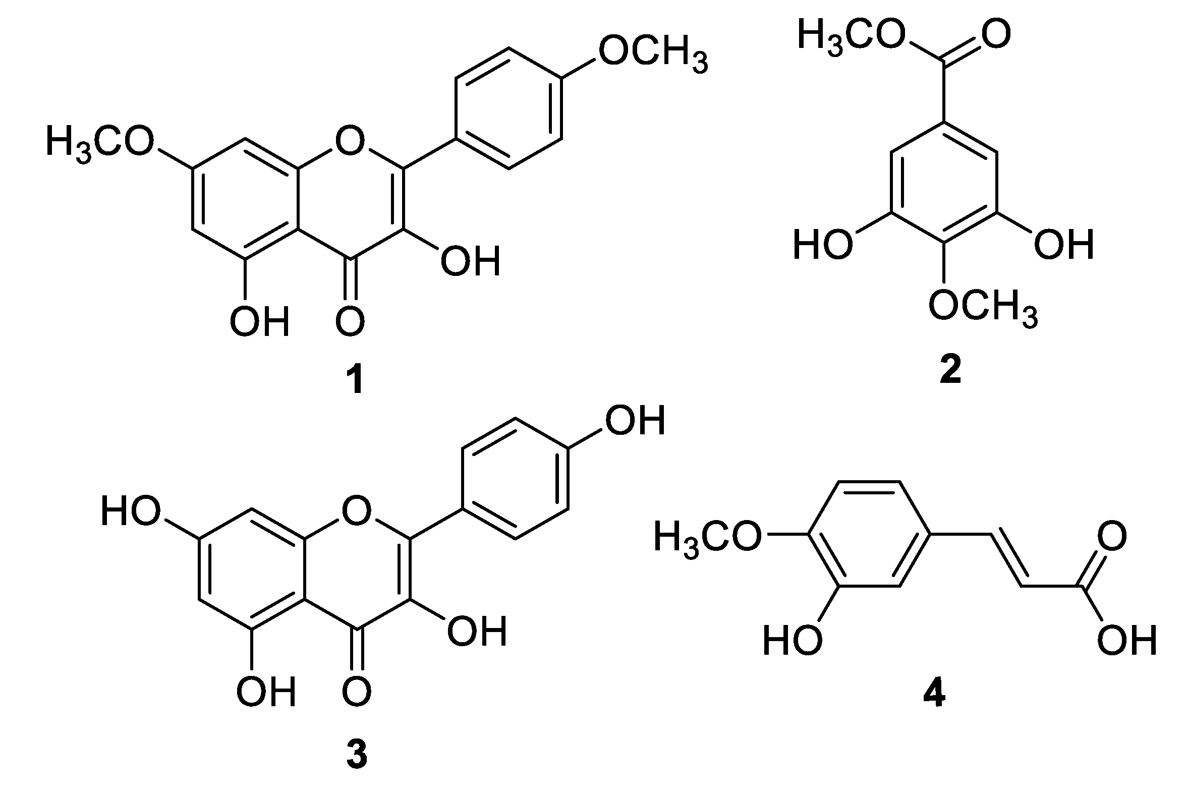 Molecules Free Full Text Anti Inflammatory Principles From Tamarix Aphylla L A Bioassay Guided Fractionation Study Html