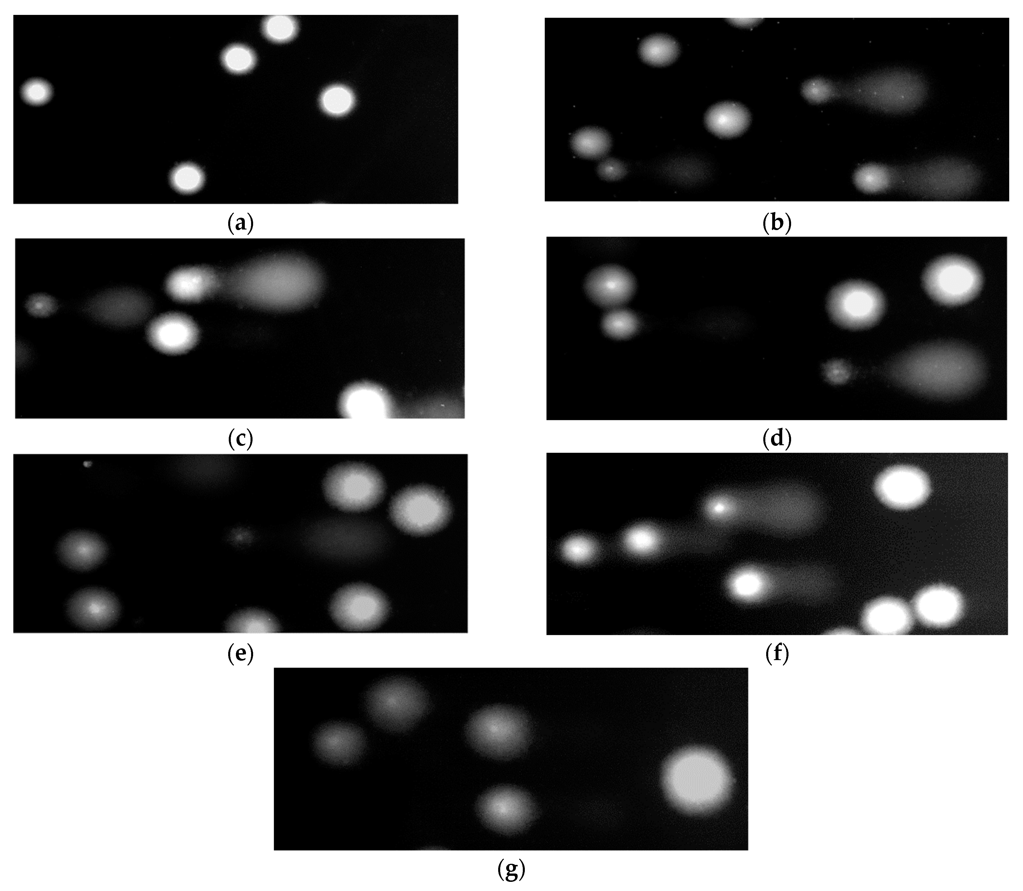 Molecules 25 03004 g003 Molecules 25 03004 g003