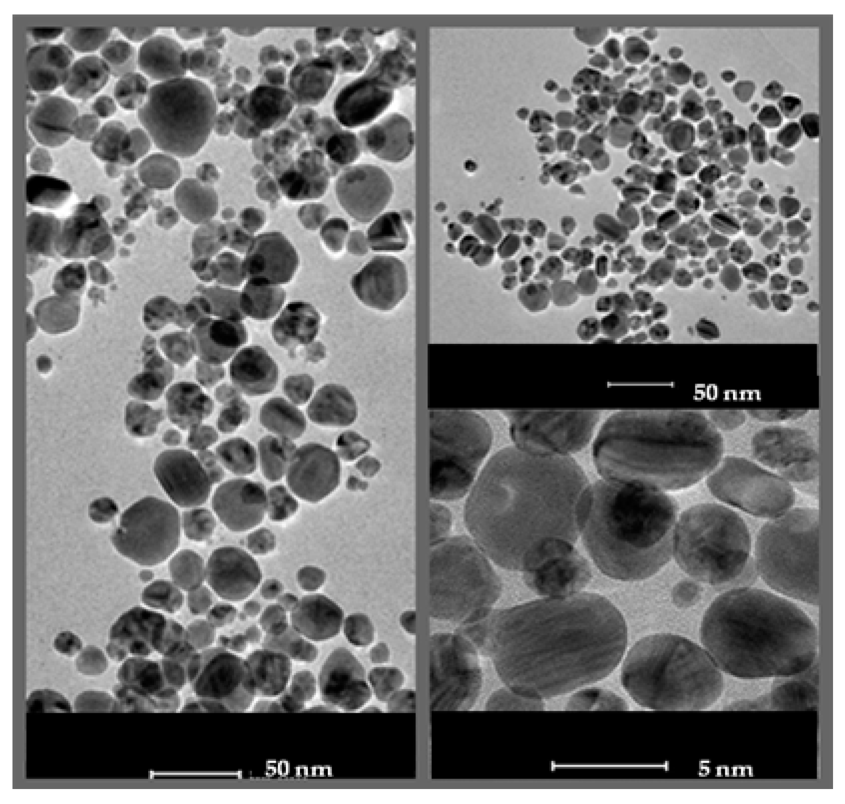 Molecules 25 03022 g002