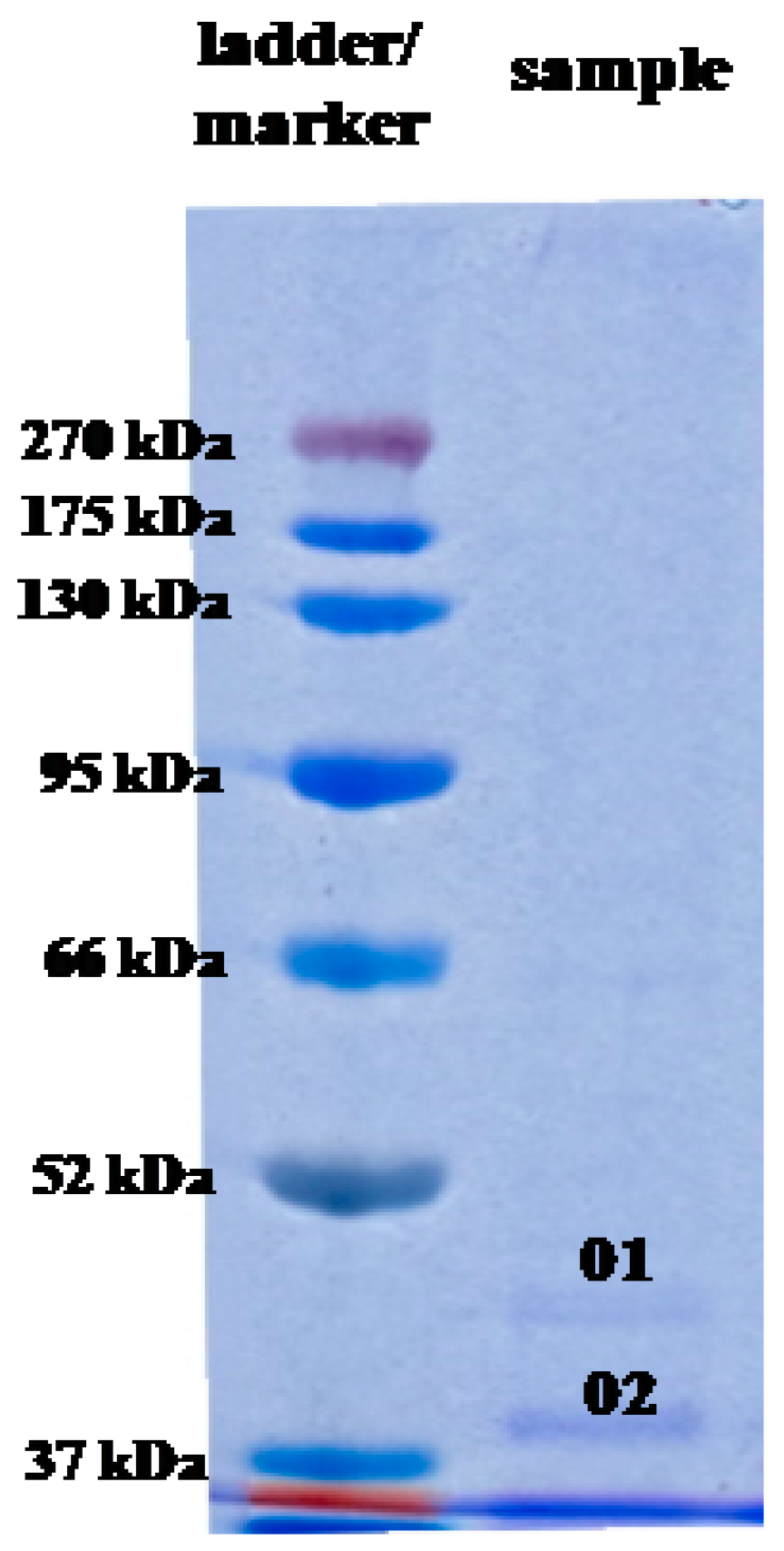 Molecules 25 03022 g007