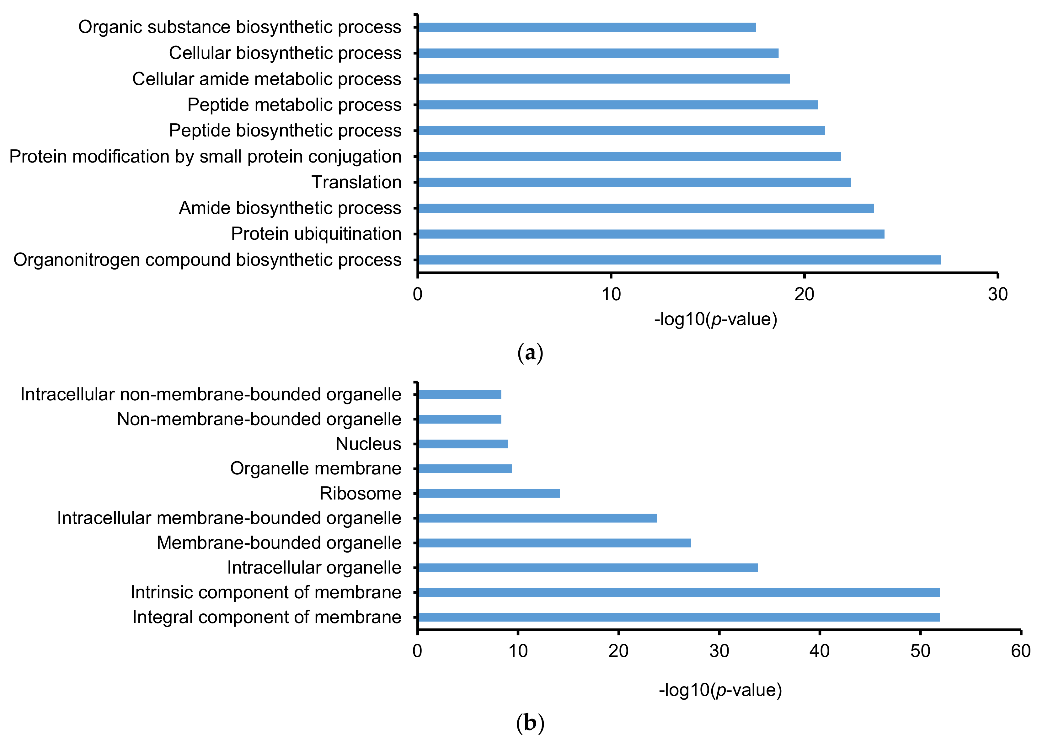 Molecules 25 03028 g005a Molecules 25 03028 g005a