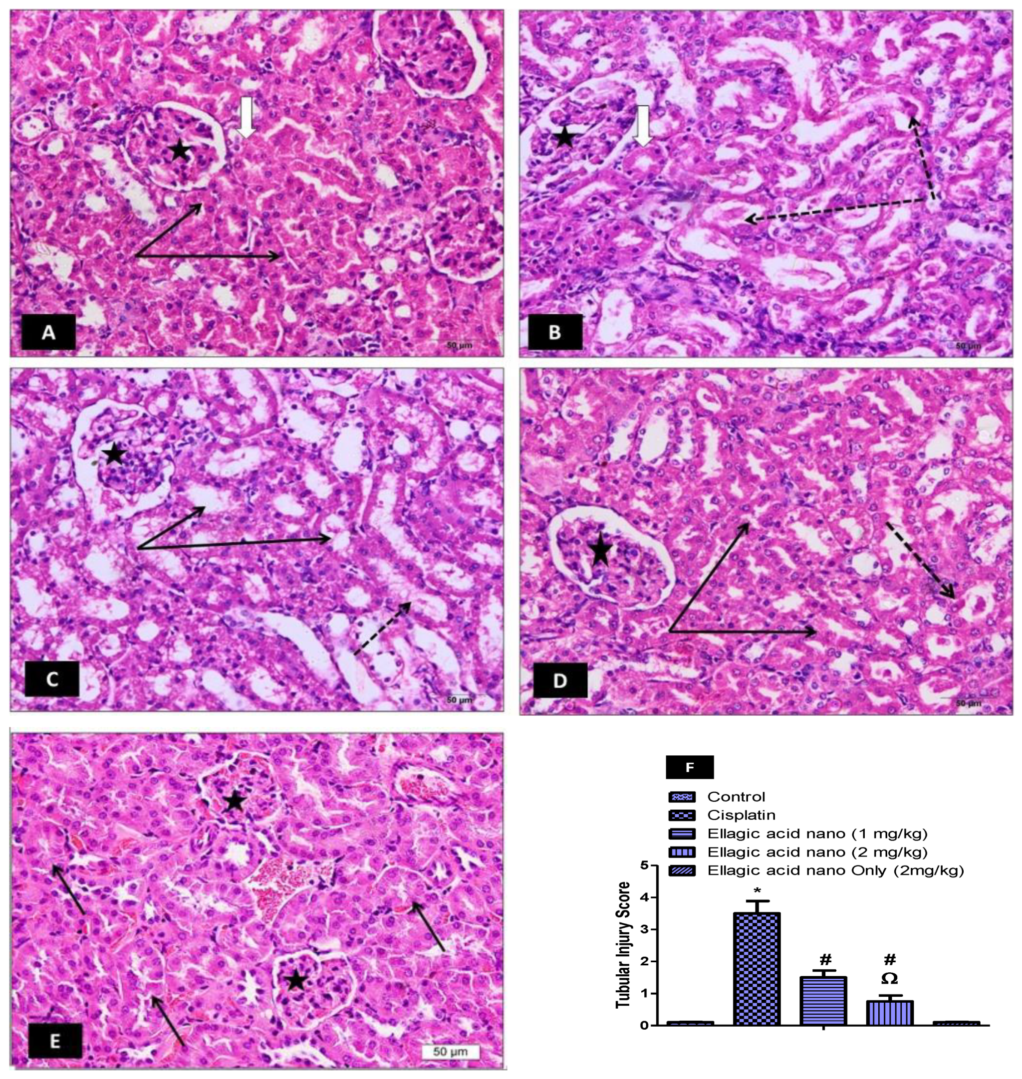 Molecules 25 03031 g001 Molecules 25 03031 g001