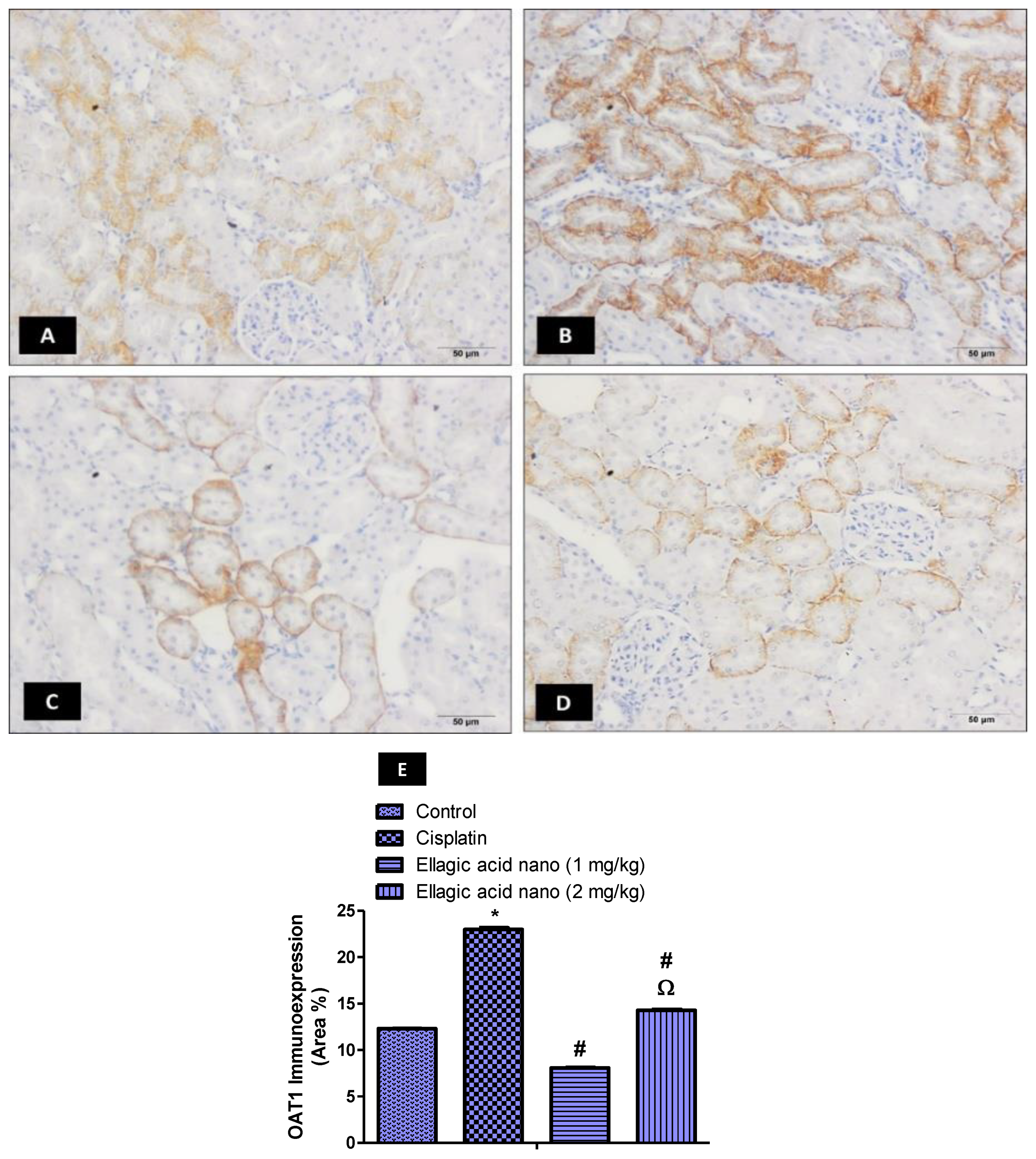 Molecules 25 03031 g002 Molecules 25 03031 g002
