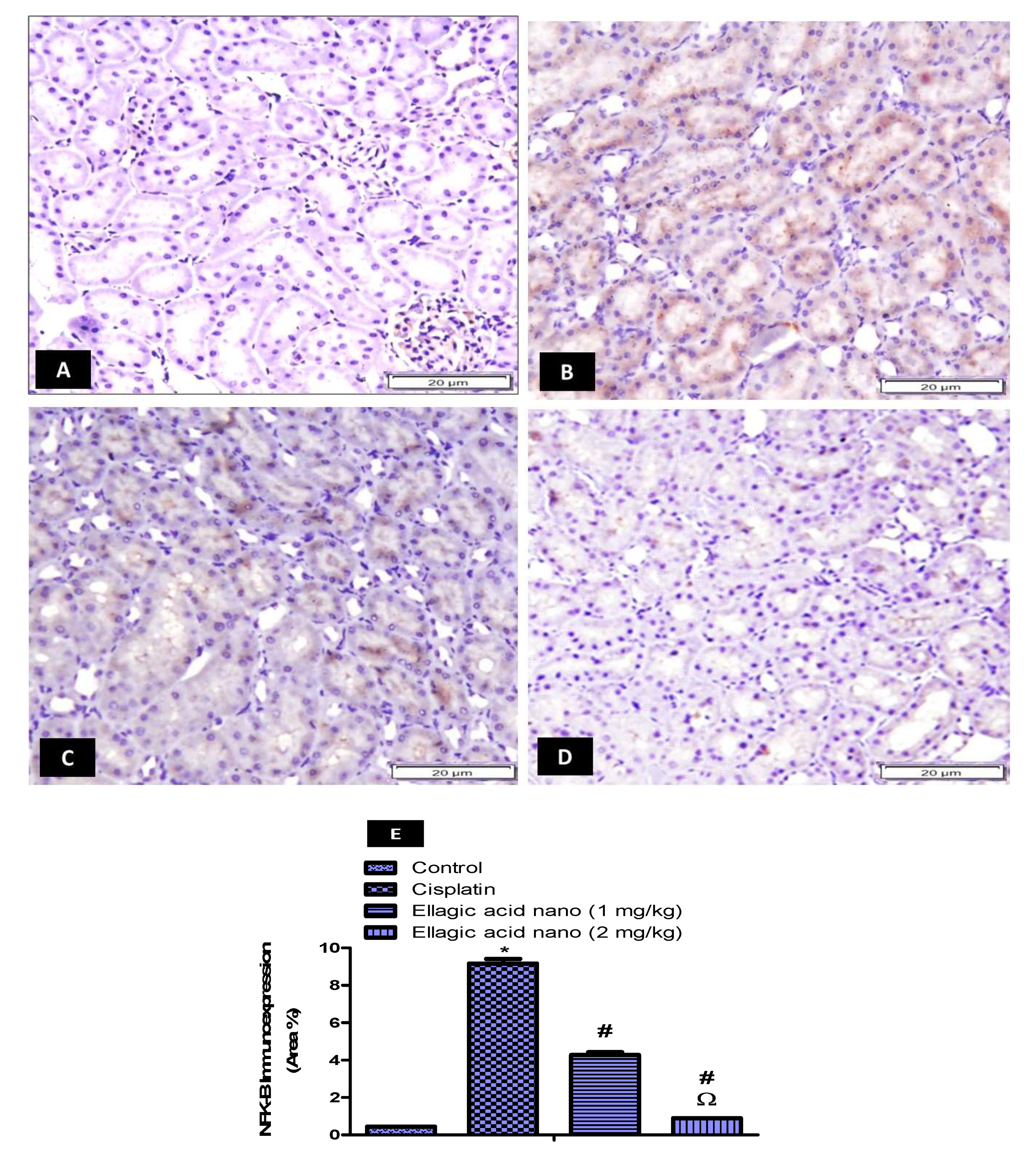 Molecules 25 03031 g004 Molecules 25 03031 g004