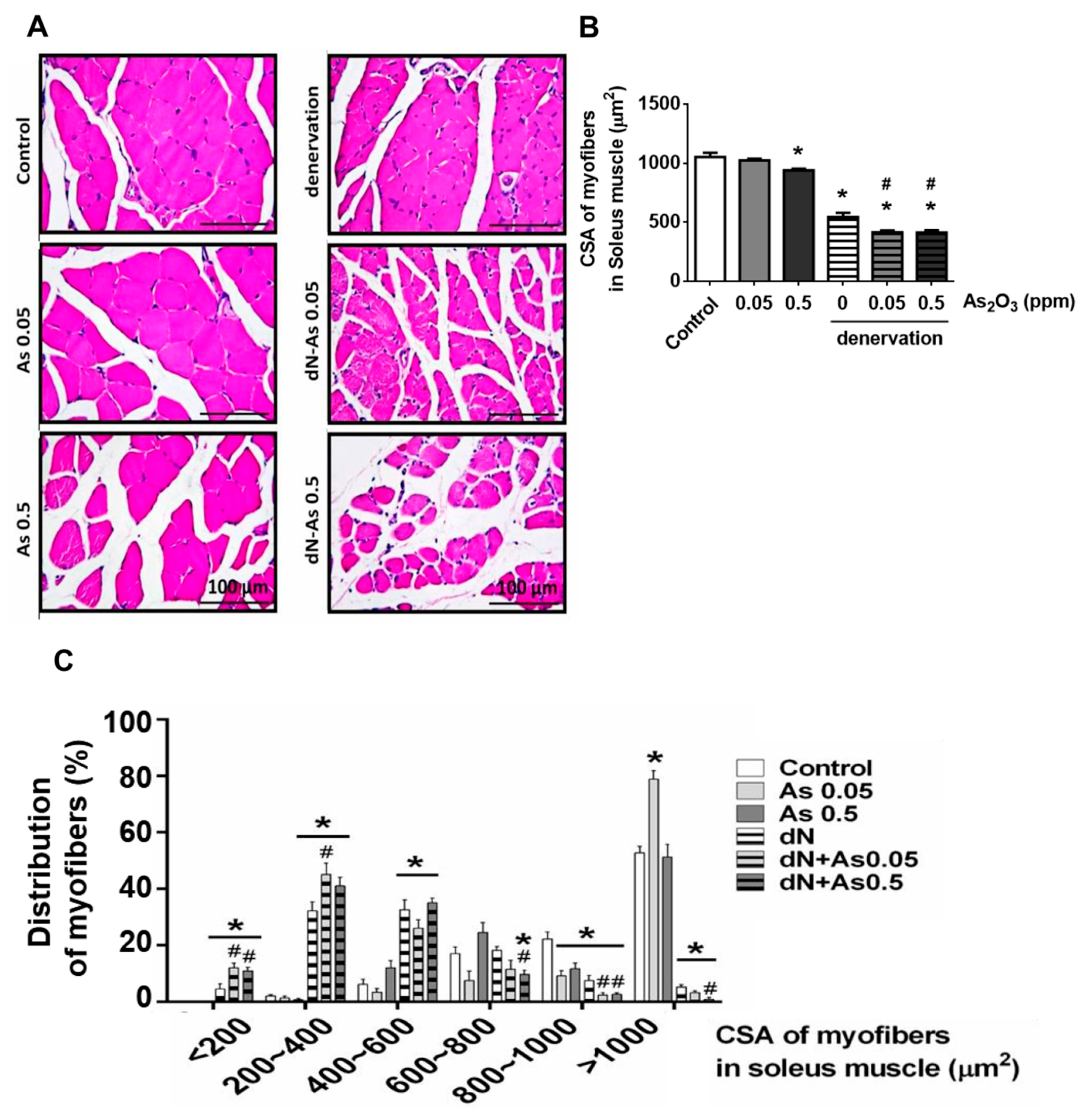 Molecules 25 03057 g004