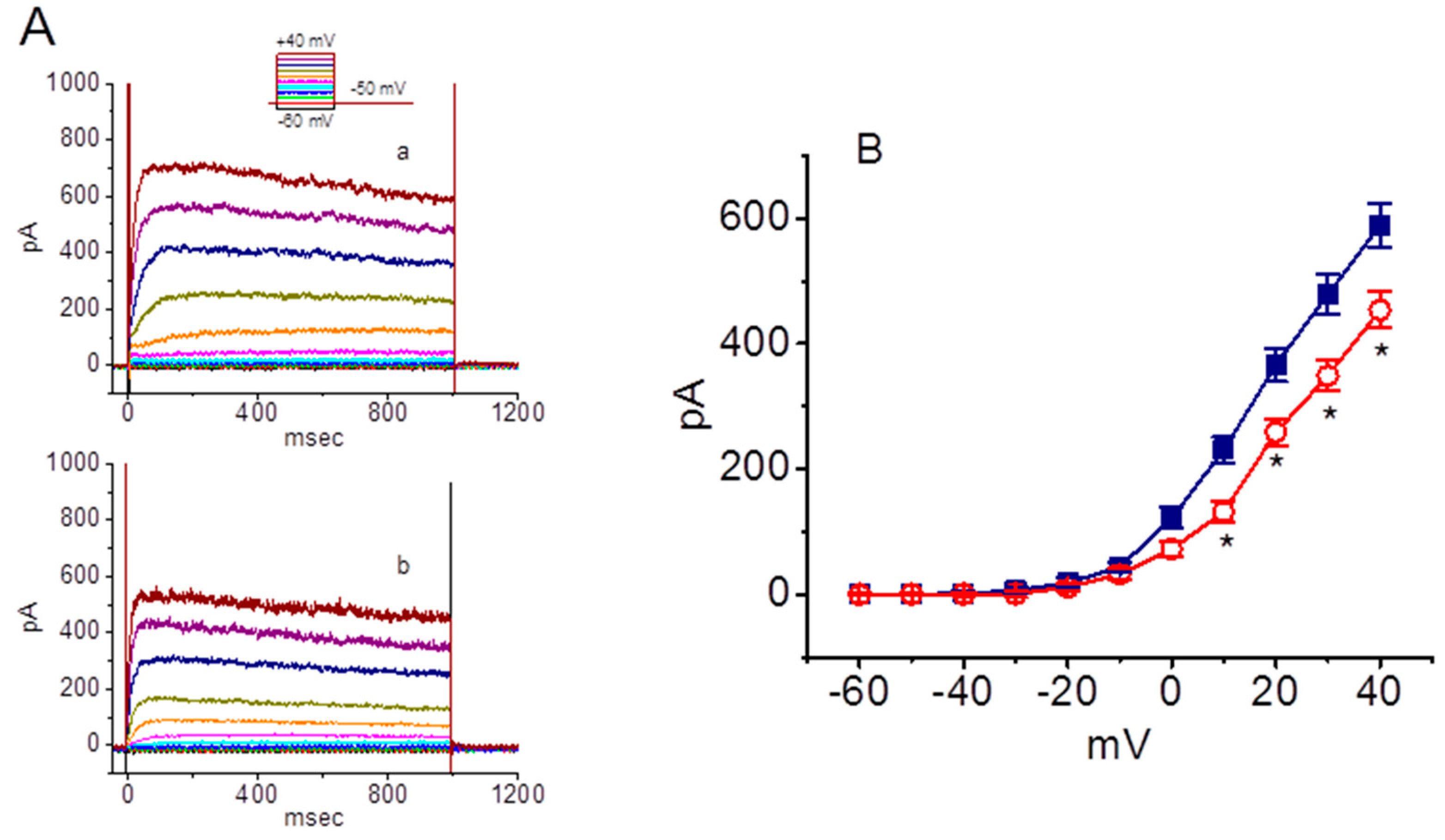 Molecules 25 03062 g007 Molecules 25 03062 g007