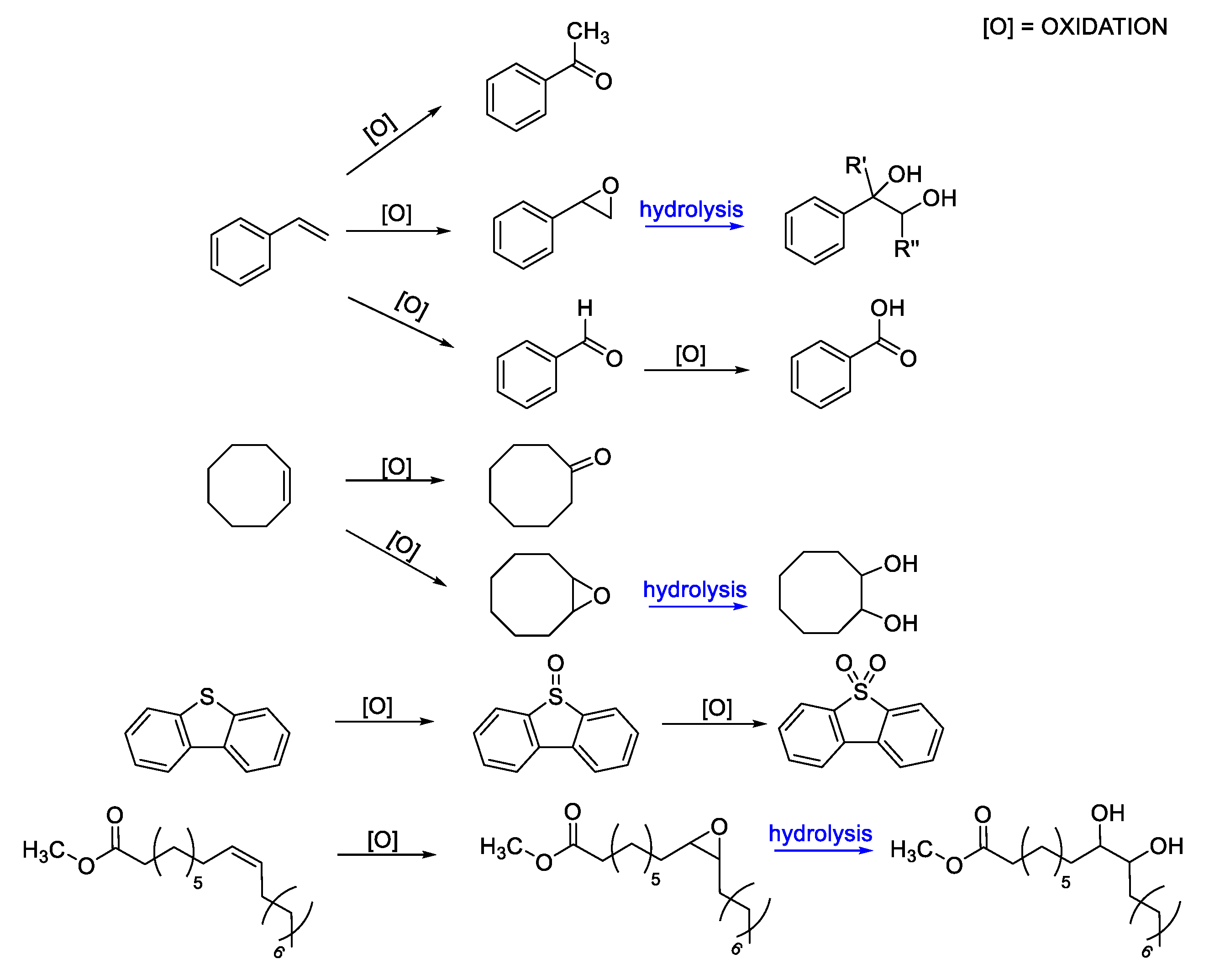 Molecules 25 03073 g006 Molecules 25 03073 g006