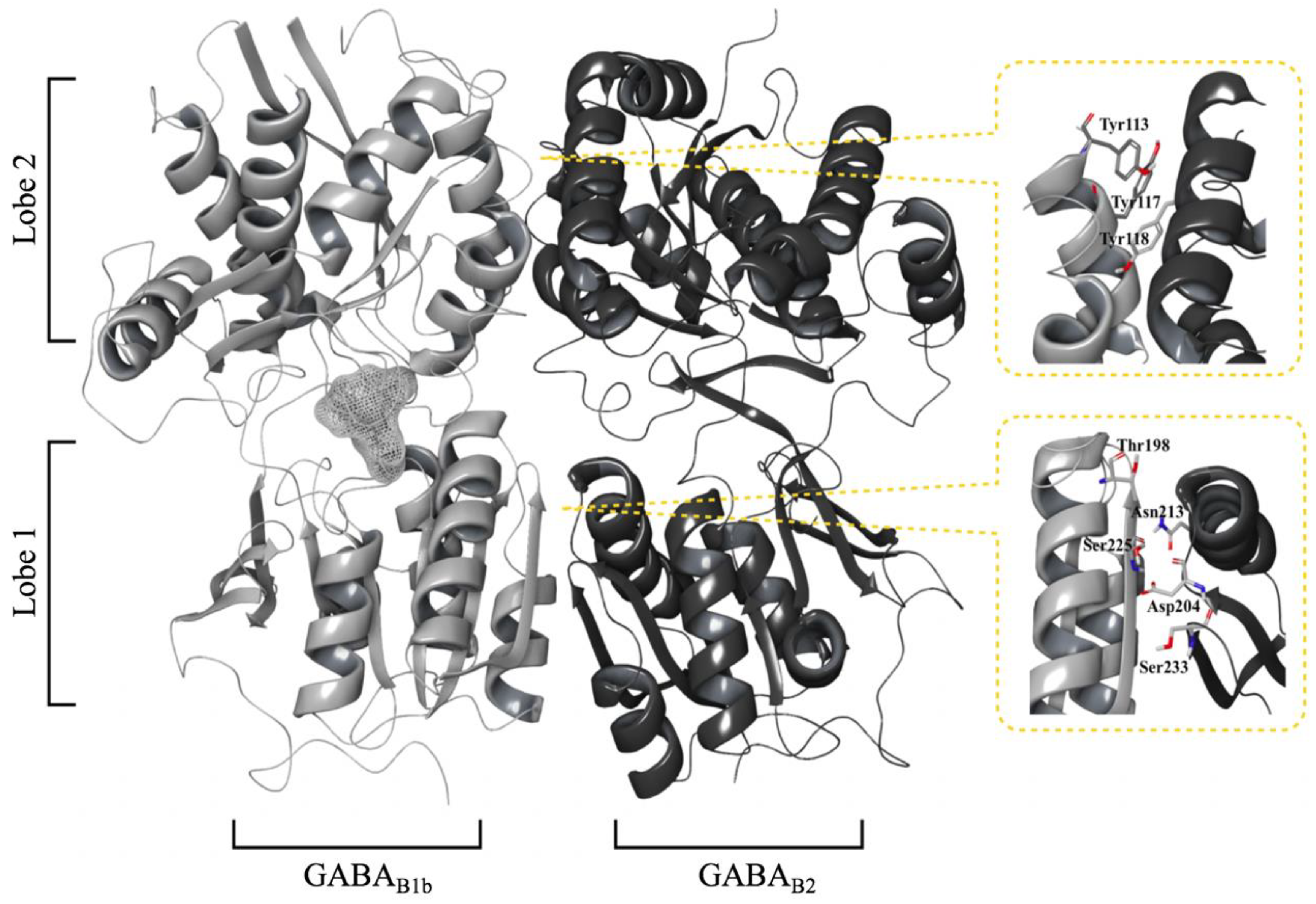 Molecules 25 03093 g002 Molecules 25 03093 g002