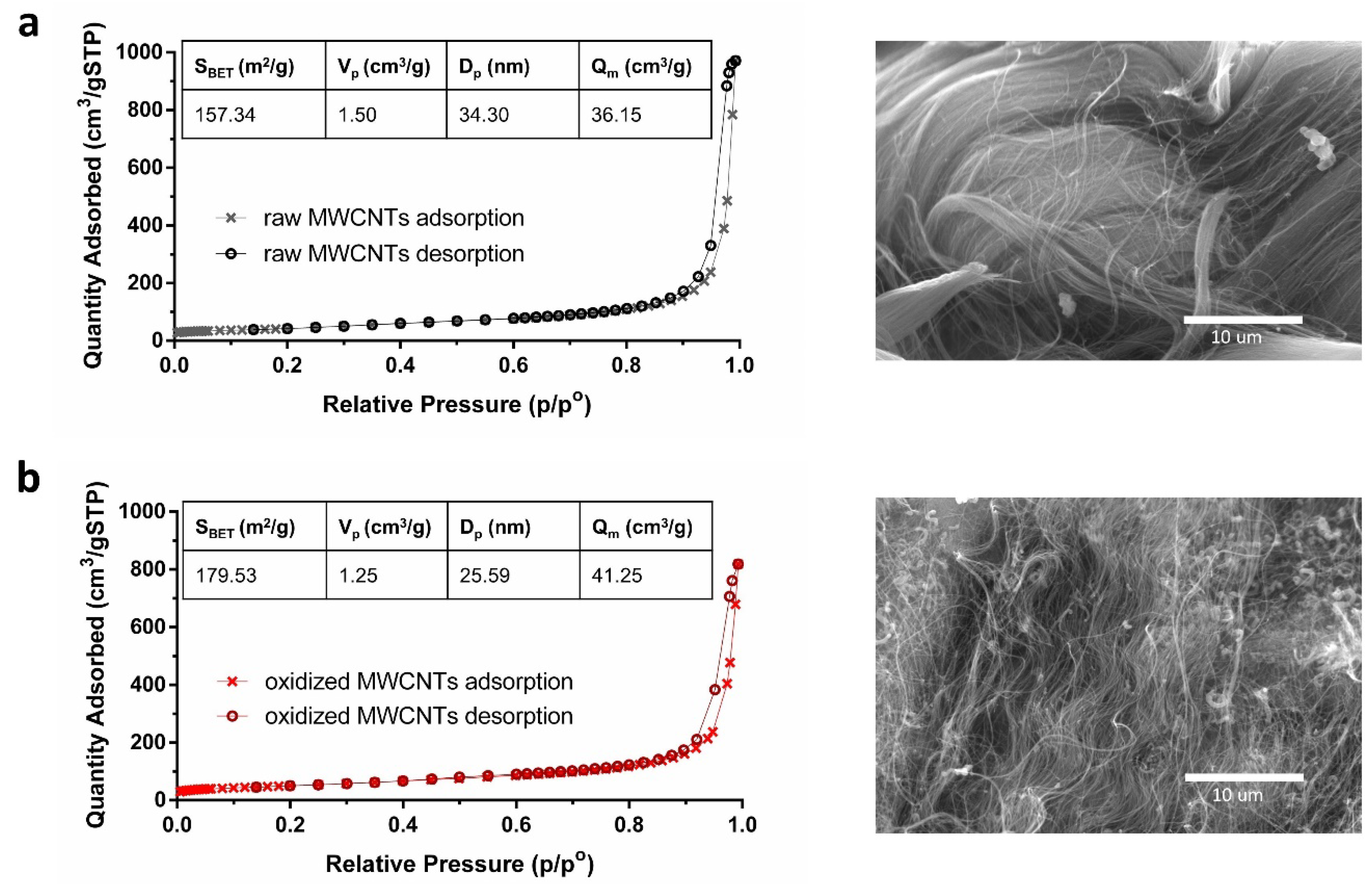 Molecules Free Full Text Increased Adsorption Of Heavy Metal Ions In Multi Walled Carbon Nanotubes With Improved Dispersion Stability Html