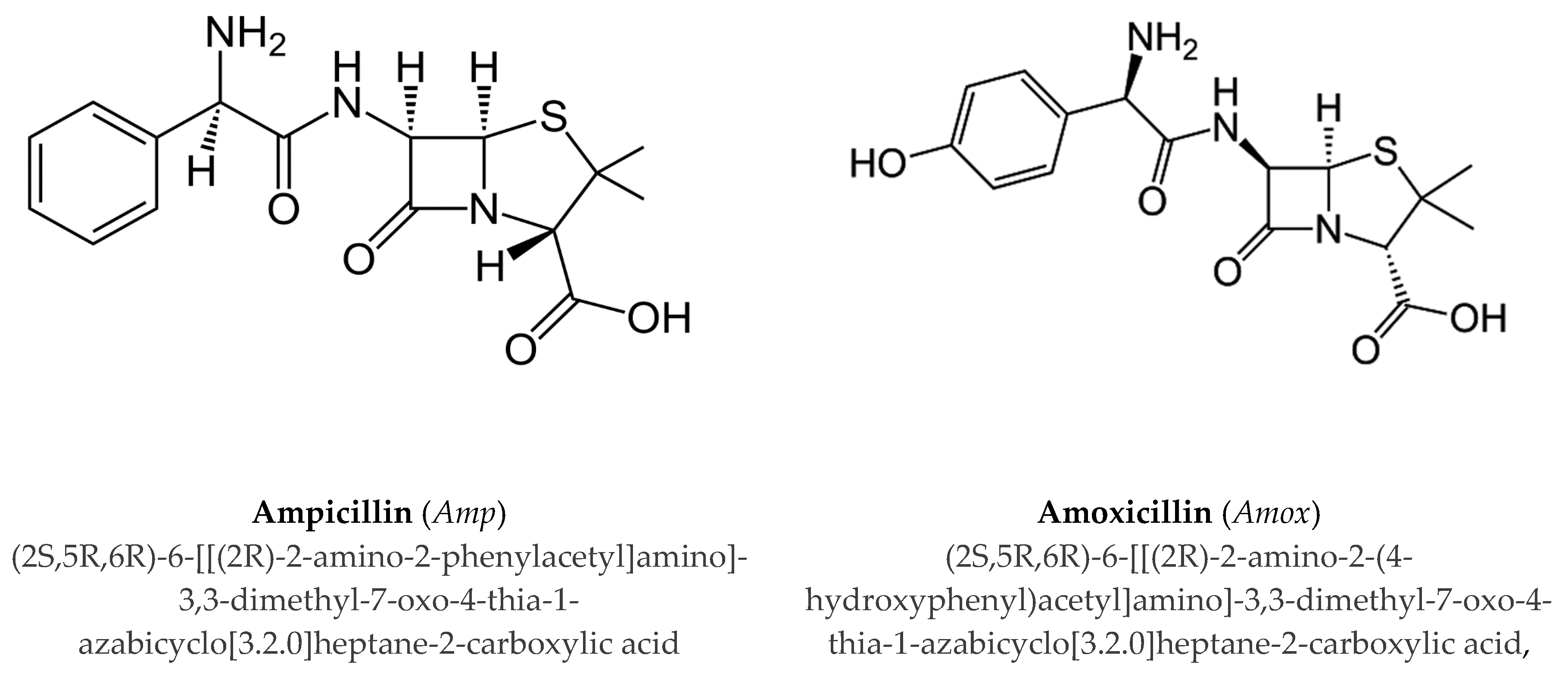 Molecules Free Full Text Interaction Of Ampicillin And Amoxicillin