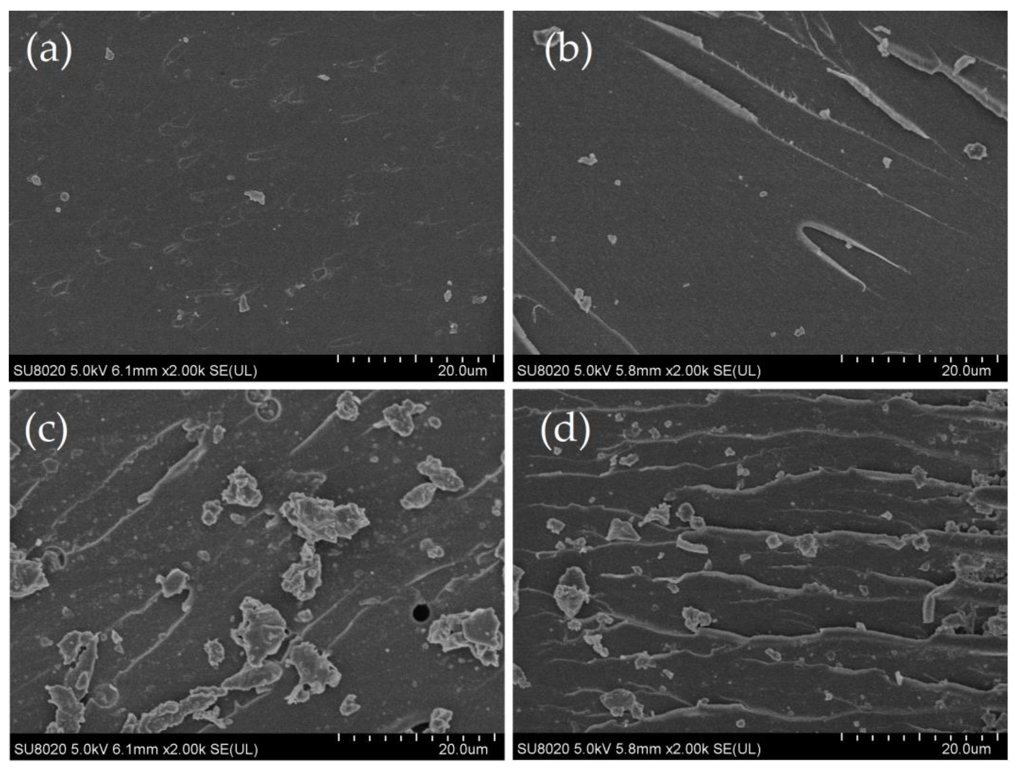Molecules 25 03117 g002