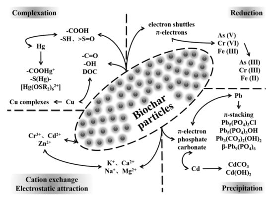 Molecules Free Full Text Application Research Of Biochar For The Remediation Of Soil Heavy Metals Contamination A Review Html