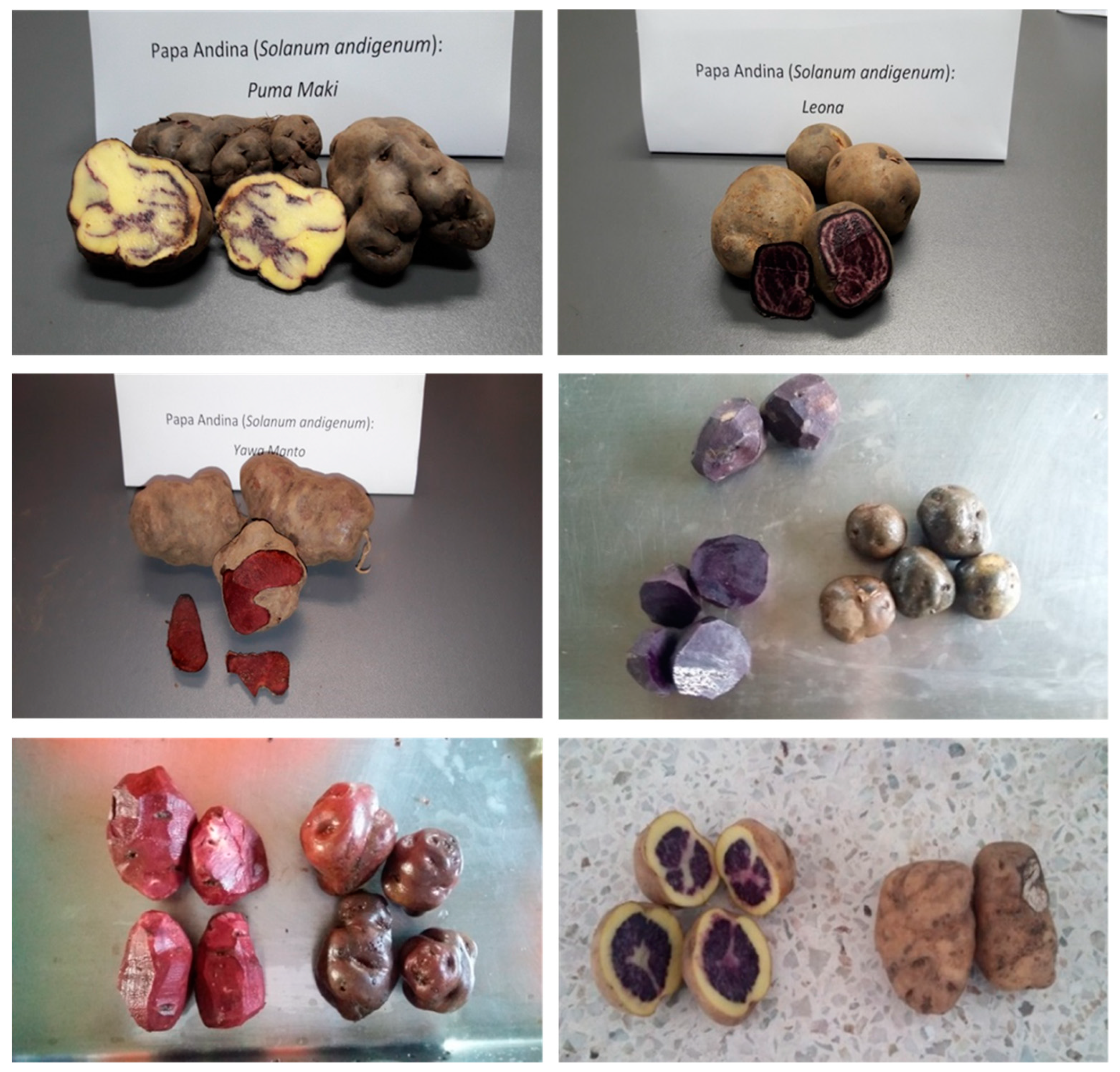 Molecules 25 03169 g001 Molecules 25 03169 g001