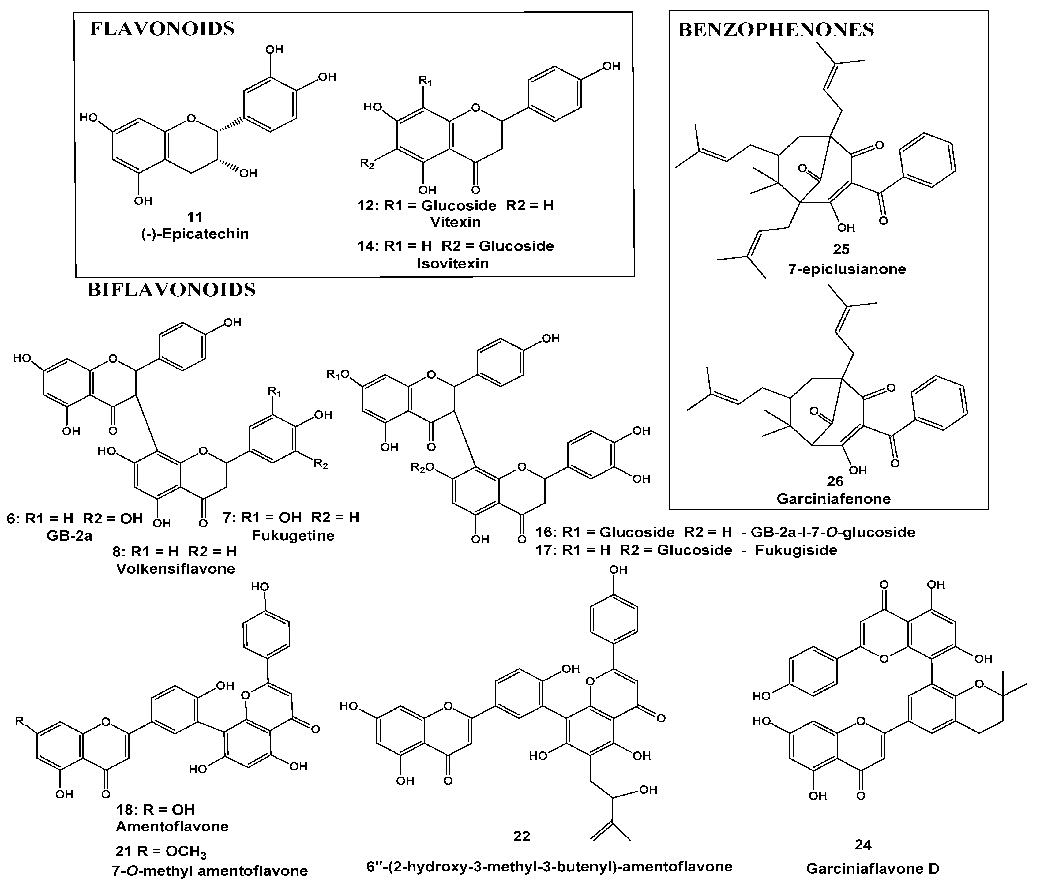 Molecules 25 03201 g001 Molecules 25 03201 g001