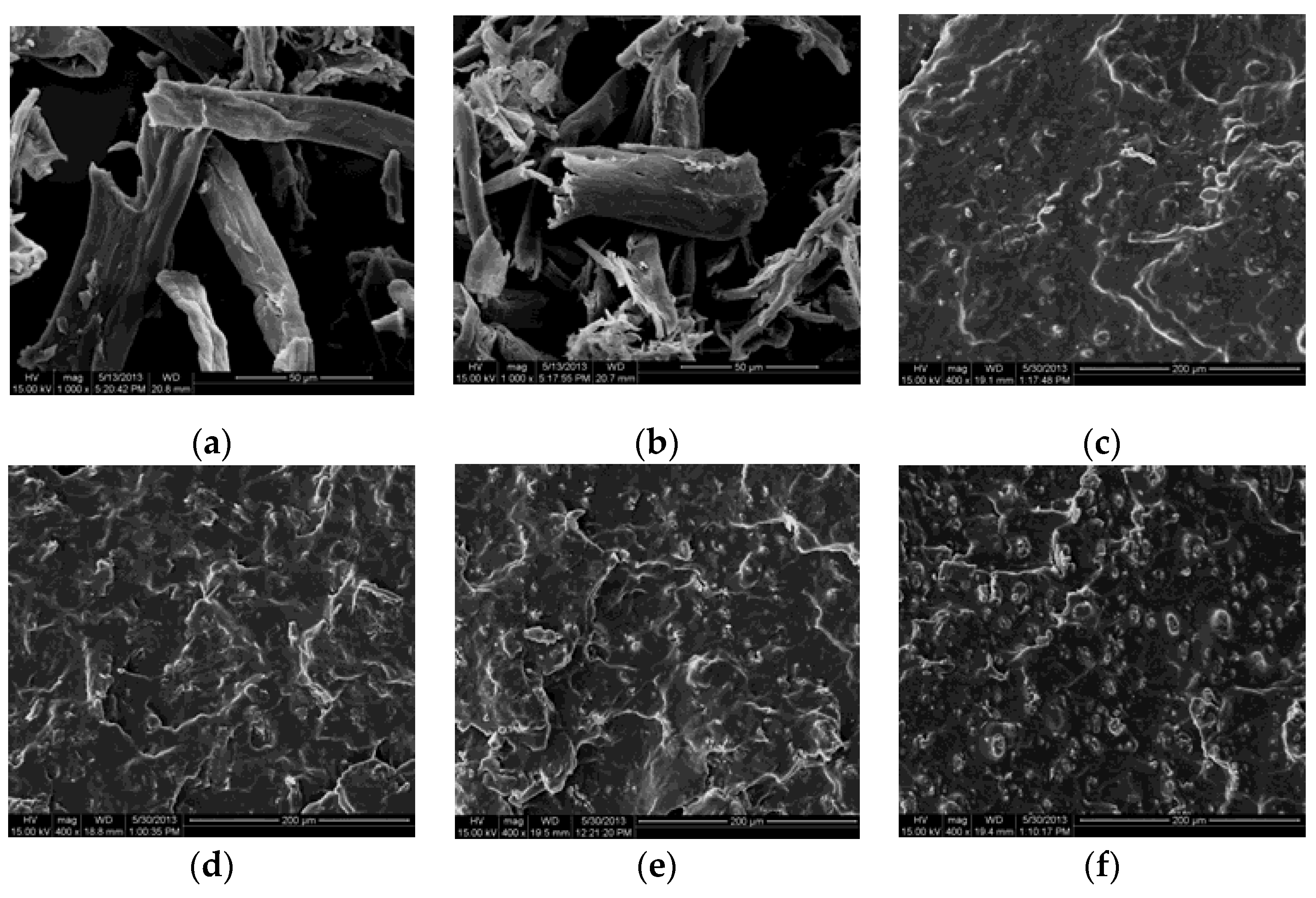 Molecules 25 03236 g004