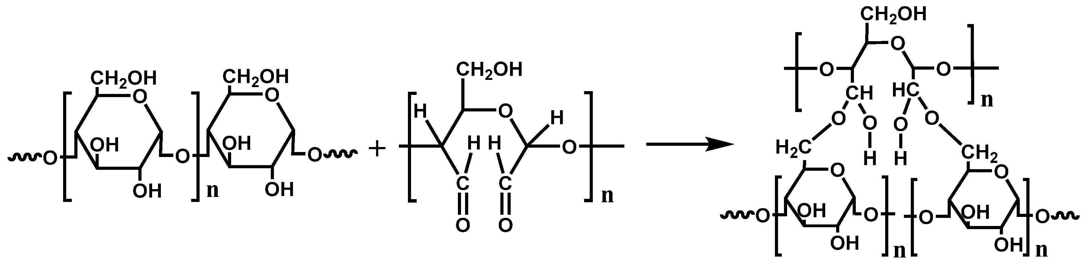 Molecules 25 03236 g007