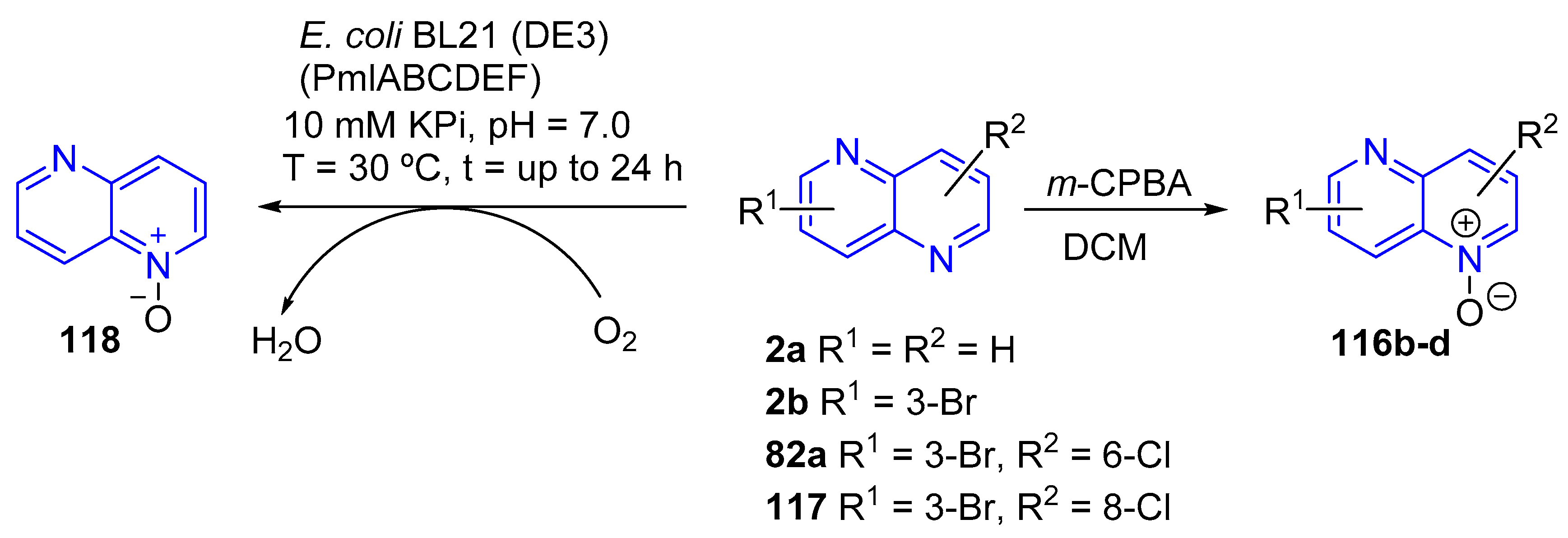 Molecules 25 03252 sch043 Molecules 25 03252 sch043