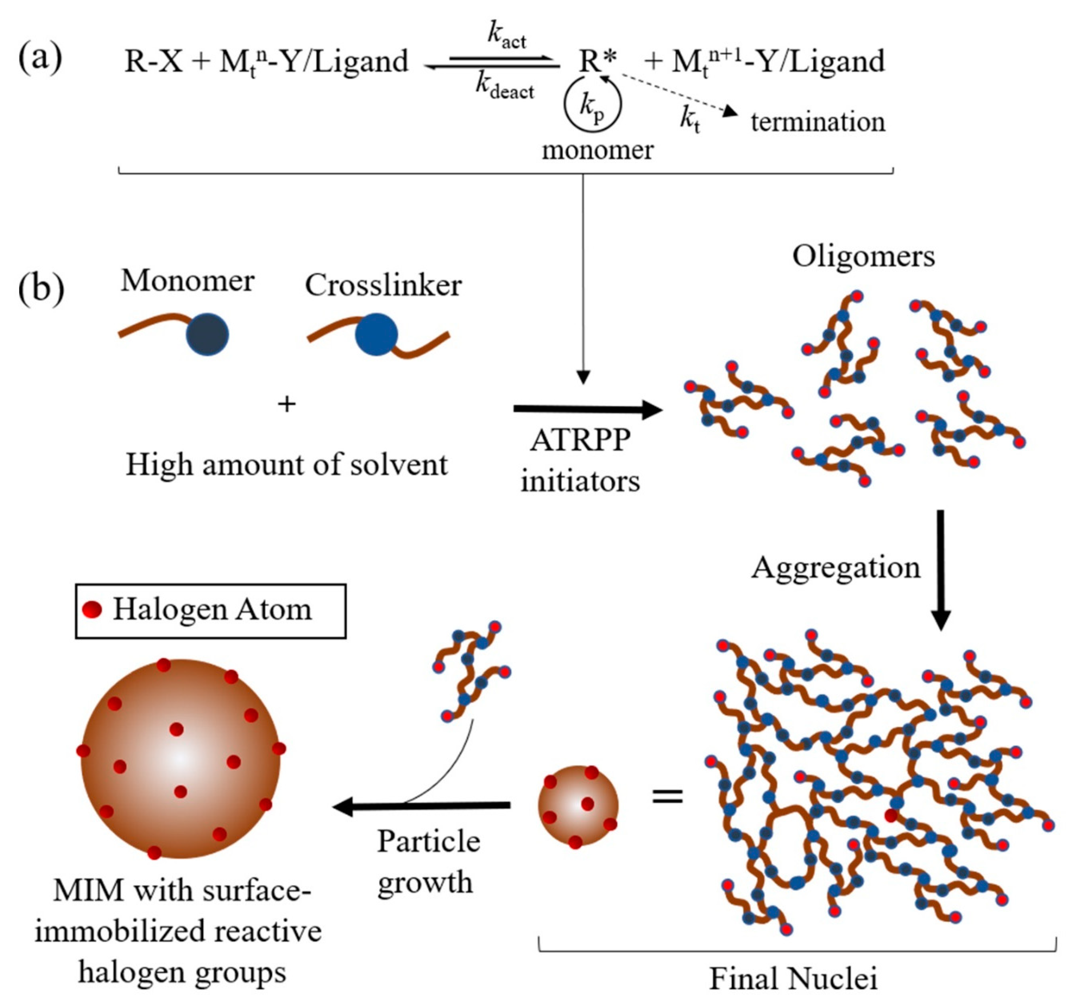 Molecules 25 03256 g002 Molecules 25 03256 g002