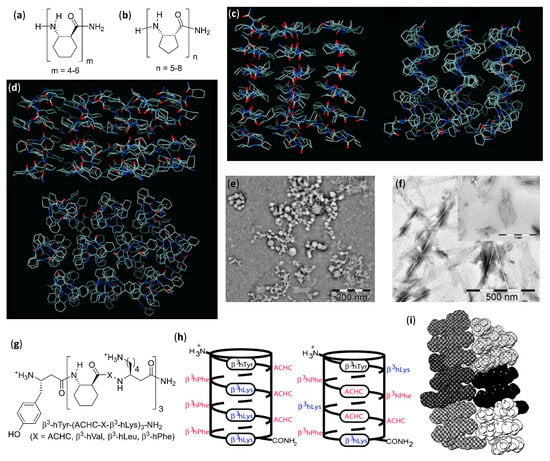 Molecules Free Full Text The Diverse World Of Foldamers Endless Possibilities Of Self Assembly Html