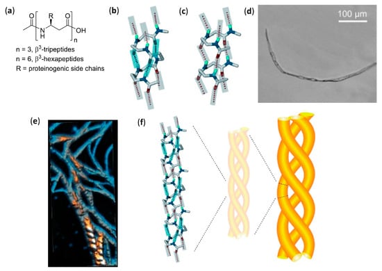 Molecules Free Full Text The Diverse World Of Foldamers Endless Possibilities Of Self Assembly Html